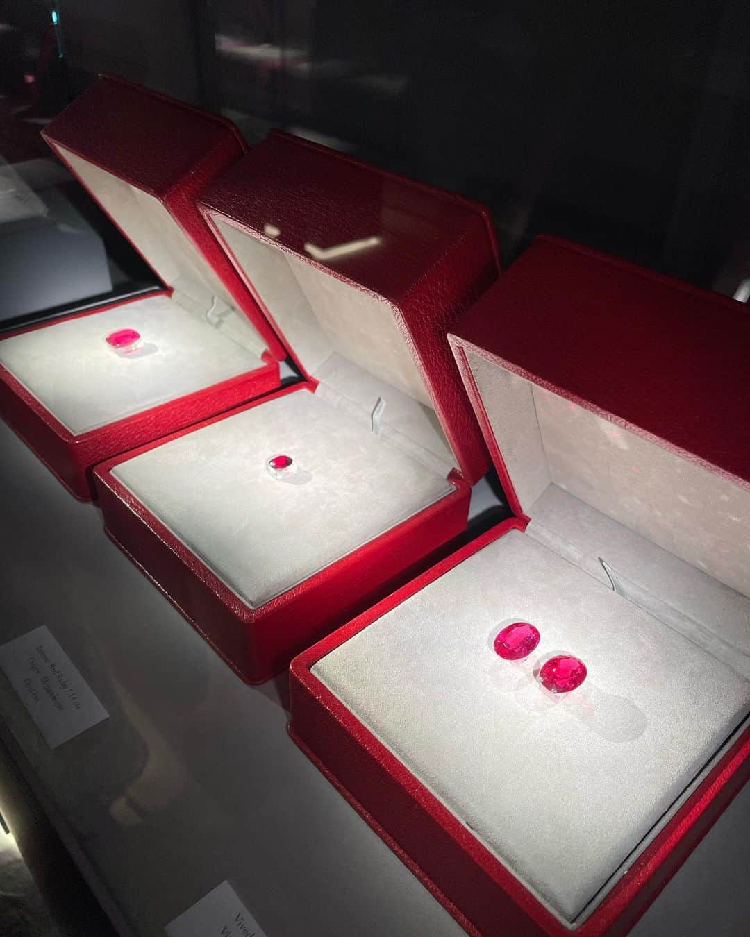 髙田麻紀子さんのインスタグラム写真 - (髙田麻紀子Instagram)「❤︎ . @DIOR  High Jewelry Tour💎  ”Stones carried spiritual benefits and healing. they are alive. “🌈  #villadior #villadior2023」5月4日 22時24分 - makikotakada