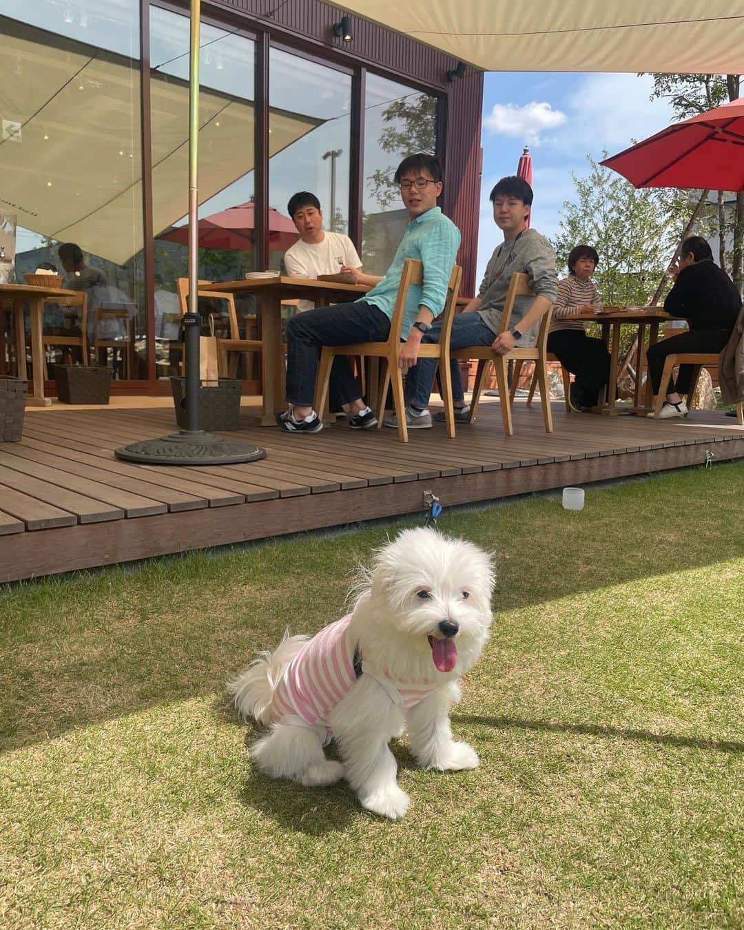 河島あみるのインスタグラム