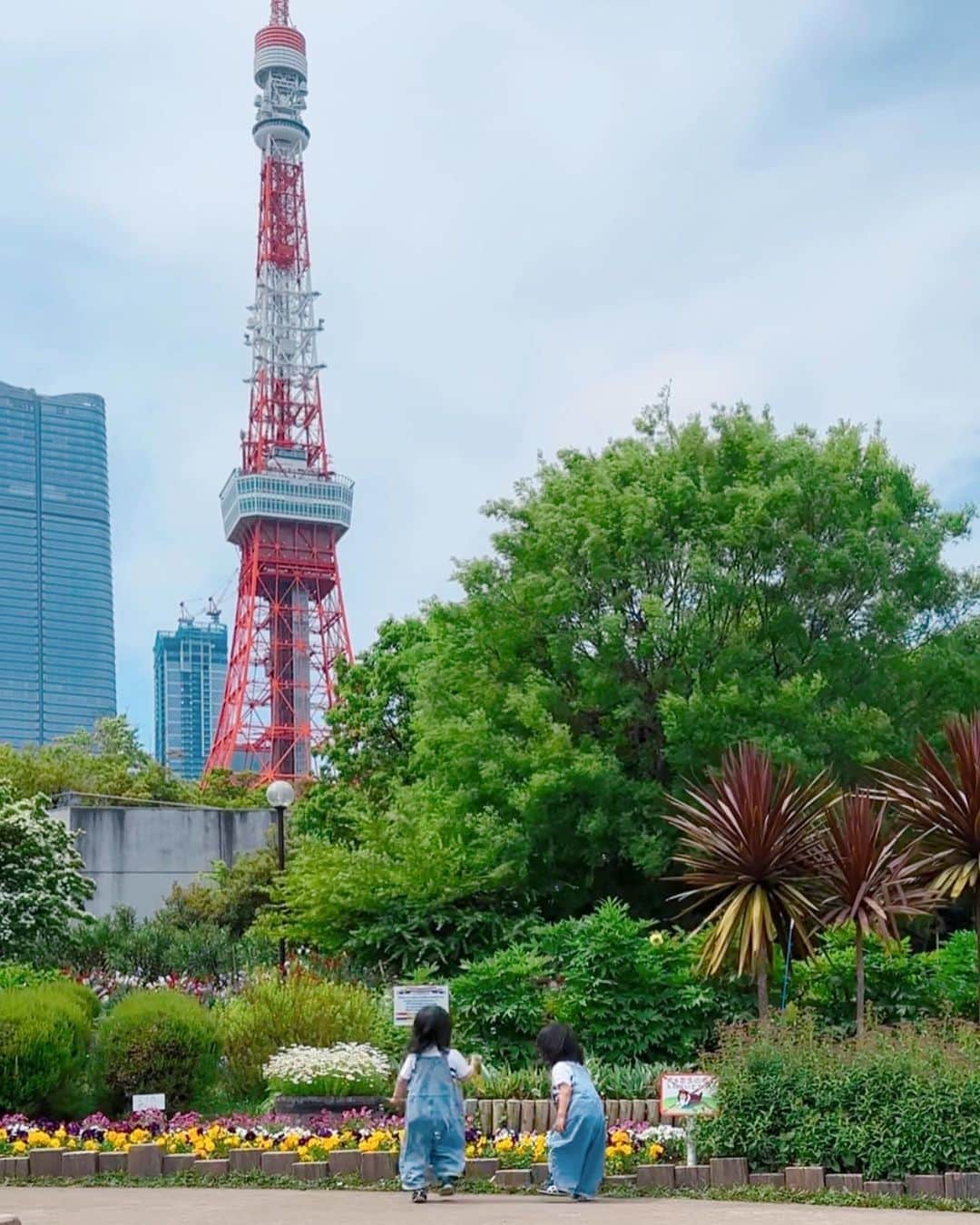 大山加奈さんのインスタグラム写真 - (大山加奈Instagram)「. こいのぼりを観たあとは 芝公園でピクニック🍀 . きれいなお花がたくさん咲いていたし 東京タワーは目の前にドーンと立っているし ロケーション最高‼︎‼︎‼︎ . わんこも一緒に入れるのが 本当にありがたい🥹‼︎‼︎‼︎‼︎ . . #双子#twins #ツインズ#双胎#双子出産 #双子育児 #ddtwins #dd双胎#多胎育児#だいず #だいず🐕💓 #豆柴 #豆柴部  #柴犬 #しばいぬ  #犬のいる暮らし#🐶 #🐕#いぬすたぐらむ #ワンスタグラム #しばすたぐらむ #犬と子供 #柴犬と子供 #子どもとおでかけ #犬と子供のいる暮らし #犬とおでかけ」5月4日 22時45分 - kanaoyama0619