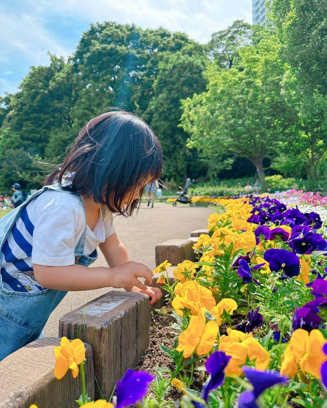 大山加奈さんのインスタグラム写真 - (大山加奈Instagram)「. こいのぼりを観たあとは 芝公園でピクニック🍀 . きれいなお花がたくさん咲いていたし 東京タワーは目の前にドーンと立っているし ロケーション最高‼︎‼︎‼︎ . わんこも一緒に入れるのが 本当にありがたい🥹‼︎‼︎‼︎‼︎ . . #双子#twins #ツインズ#双胎#双子出産 #双子育児 #ddtwins #dd双胎#多胎育児#だいず #だいず🐕💓 #豆柴 #豆柴部  #柴犬 #しばいぬ  #犬のいる暮らし#🐶 #🐕#いぬすたぐらむ #ワンスタグラム #しばすたぐらむ #犬と子供 #柴犬と子供 #子どもとおでかけ #犬と子供のいる暮らし #犬とおでかけ」5月4日 22時45分 - kanaoyama0619