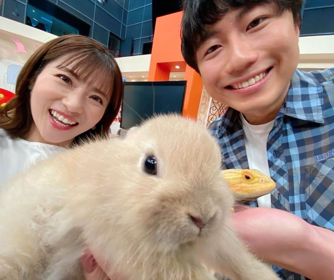 重長智子さんのインスタグラム写真 - (重長智子Instagram)「. . GW後半は、おうちでまったり 生き物と過ごすのもいいですよね♡ . 火曜日の「お買いものいいね」では 飼いやすいと評判の子たちが スタジオに来てくれました🐰 . 🔸ネザーランドドワーフ 🔸アンゴララビット 🔸フトアゴヒゲトカゲ 🔸ヘラクレスオオカブト . ラビットちゃん、ふわっふわで 可愛すぎて癒されました🥺✨ . ズースクエア静岡の皆様、 ご協力ありがとうございました‼︎ . 素敵なGWを。 . . #ズースクエア静岡 #可愛い #ピーターラビットのモデル #ネザーランドドワーフ #アンゴラの毛みたい #アンゴララビット #アゴが特徴的 #フトアゴヒゲトカゲ #世界最大 #ヘラクレスオオカブト #GWおすすめ #近場で楽しい場所」5月4日 22時53分 - tomoko_shigenaga