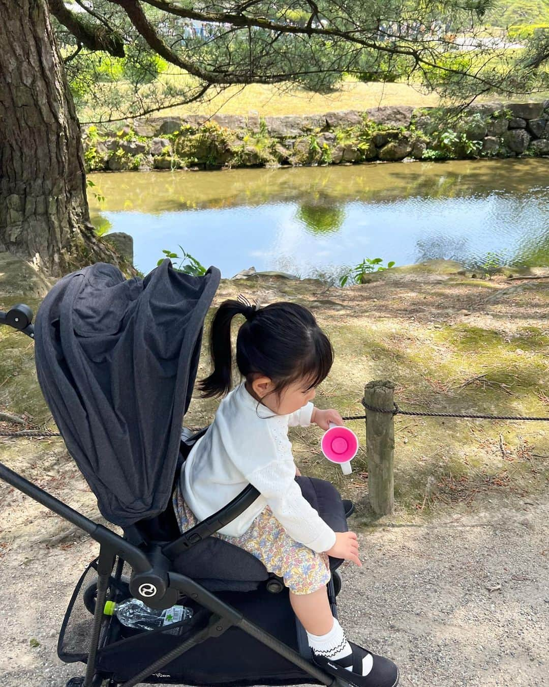 chisa1027さんのインスタグラム写真 - (chisa1027Instagram)「Family 🪷  栗林公園のお散歩とか 何年振りかな  ちょうど良い気候で 大人は気持ち良かったけど🍃 娘はベビーカーから一歩も降りませんでした…😳 さいきん歩かない🐢  (柏餅にお抹茶美味しかったな🍵」5月4日 22時54分 - chisa1027