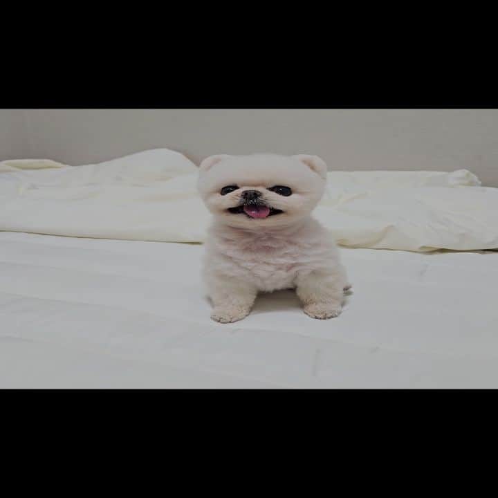 のインスタグラム：「. 너무 신나서 그만...」