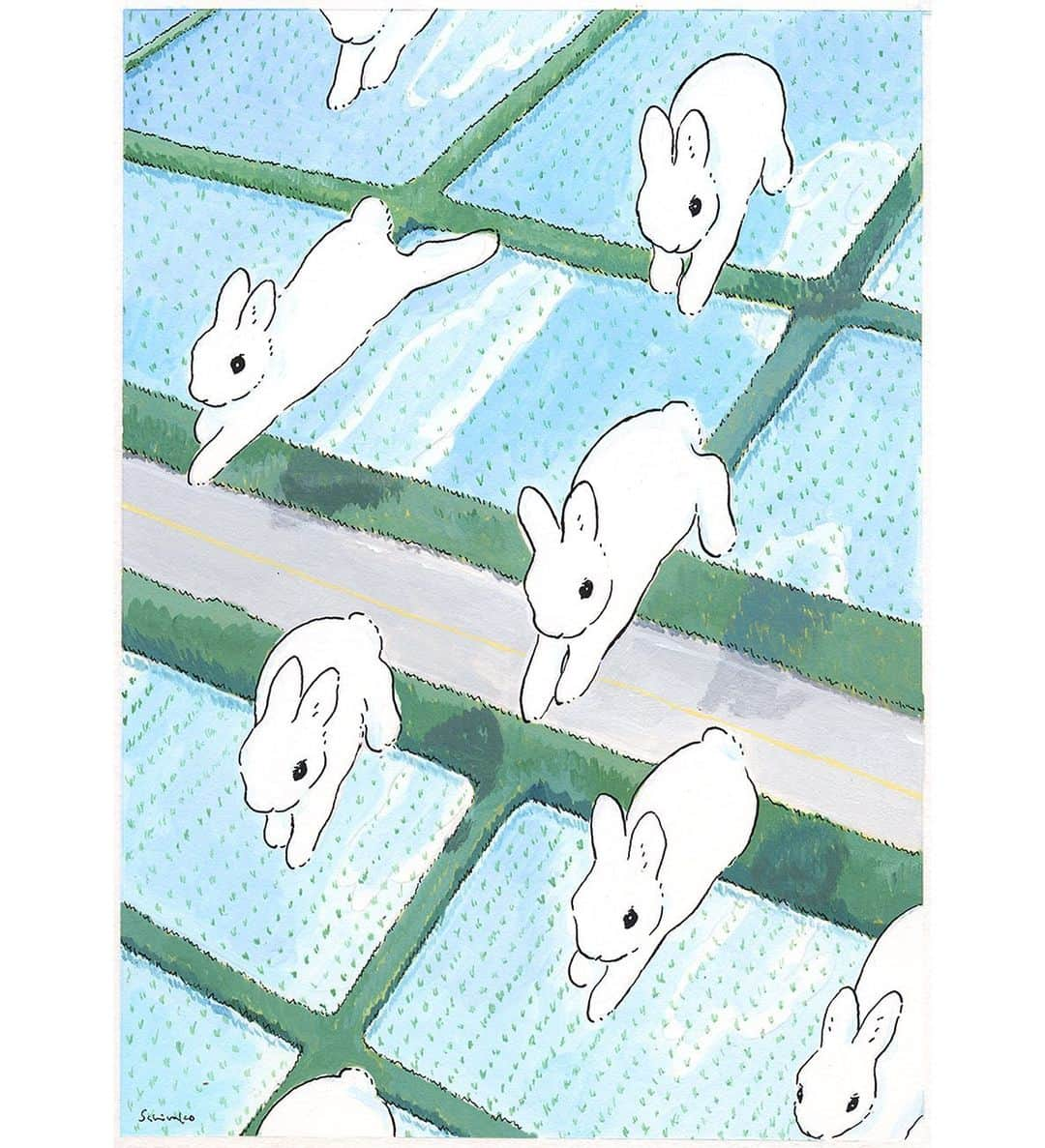 森山標子(しなこ)/Schinakoのインスタグラム：「rice field and bunny clouds 田んぼとうさぎ雲🌱🐇☁」