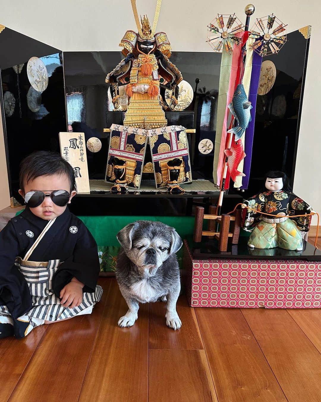 里海のインスタグラム：「こどもの日🎏🇯🇵五月五日🇯🇵🎏 初節句です 武士のように強くたくましく💪🏻 健やかに成長してくれますように！！ 隣の人形で脅かしたら このあと 大泣きでした😂  伝統を受け継ぐスタイルで ３６年ぶりに出してもらいました💪🏻 本当は花菖蒲を飾りたかったのですが 間に合わず…  #初節句　#こどもの日　#五月人形　#生後7ヶ月 #端午の節句 #菖蒲の節句」