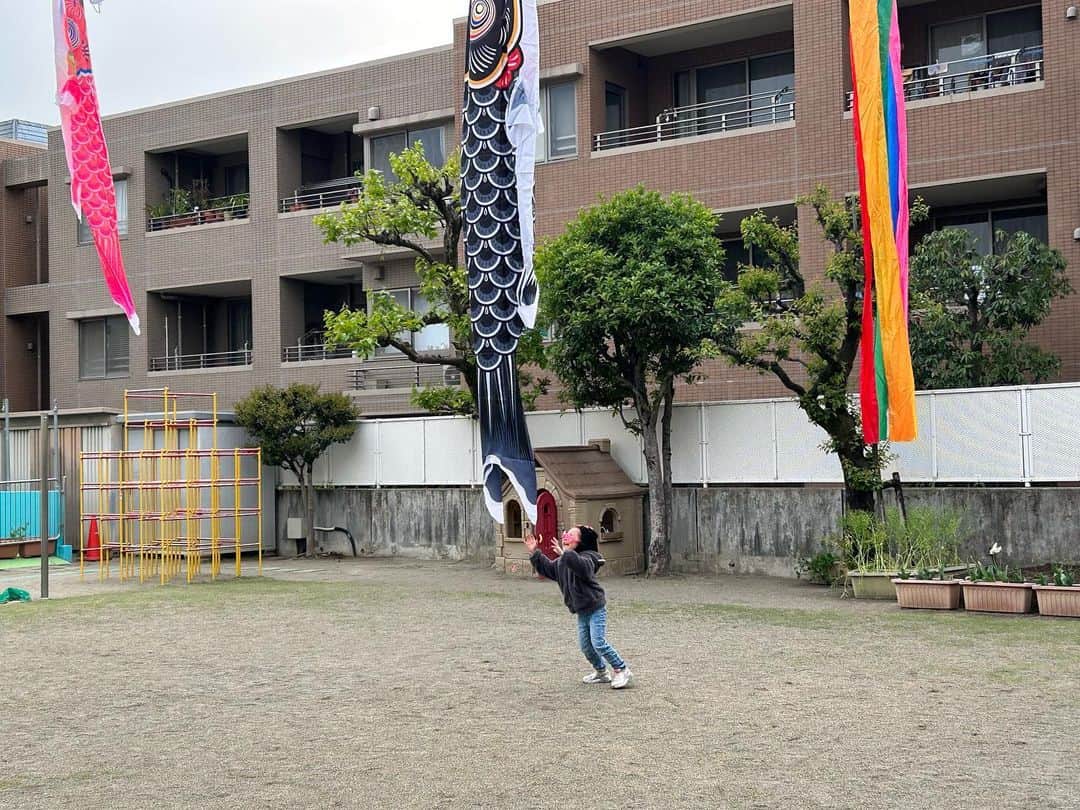 土屋眞弓のインスタグラム：「鯉のぼりを捕まえようとジャンプする4歳女子🤣 拘りのファッション 可愛すぎ🥰❤️  #鯉のぼり🎏 #端午の節句」