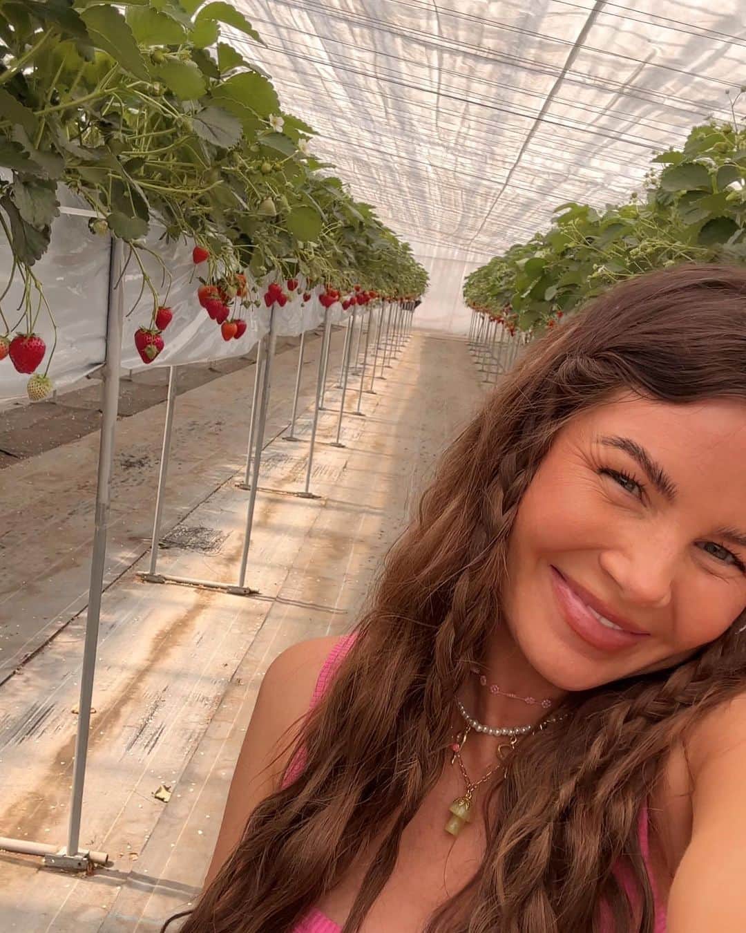 Amber Fillerup Clarkさんのインスタグラム写真 - (Amber Fillerup ClarkInstagram)「Strawberry season in Japan… I ate endless strawberries and I’m convinced I’ll never have sweeter 🧚‍♀️🍓 so inspired by all the strawberry farmers and the love and care they give to their craft!!! It’s amazing.」5月5日 1時53分 - amberfillerup