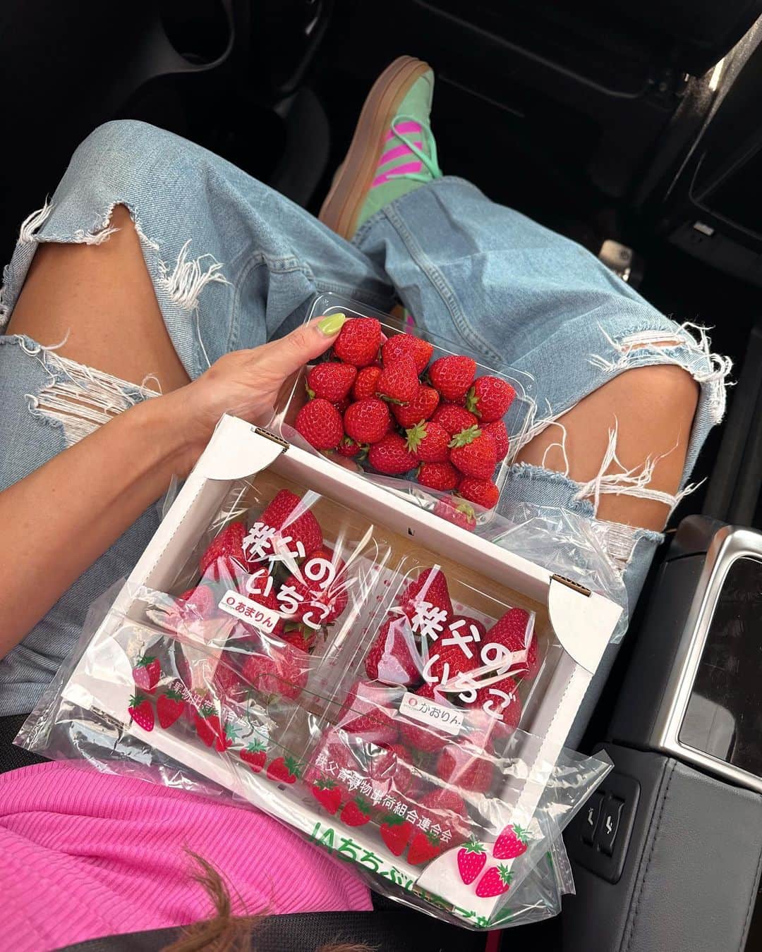 Amber Fillerup Clarkのインスタグラム：「Strawberry season in Japan… I ate endless strawberries and I’m convinced I’ll never have sweeter 🧚‍♀️🍓 so inspired by all the strawberry farmers and the love and care they give to their craft!!! It’s amazing.」