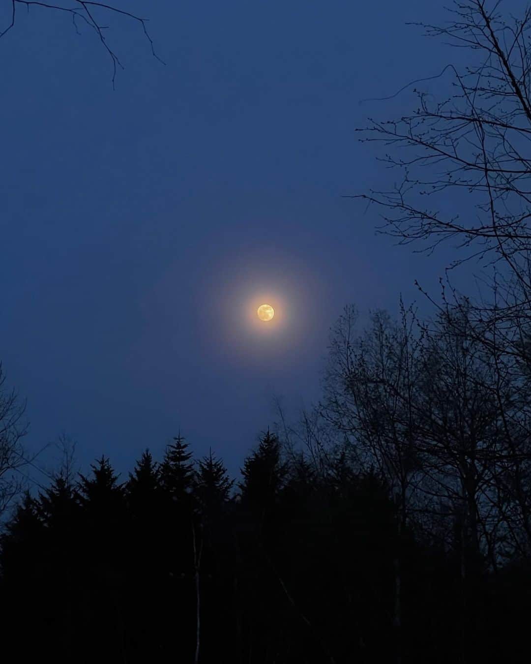yuikoのインスタグラム：「🌖」