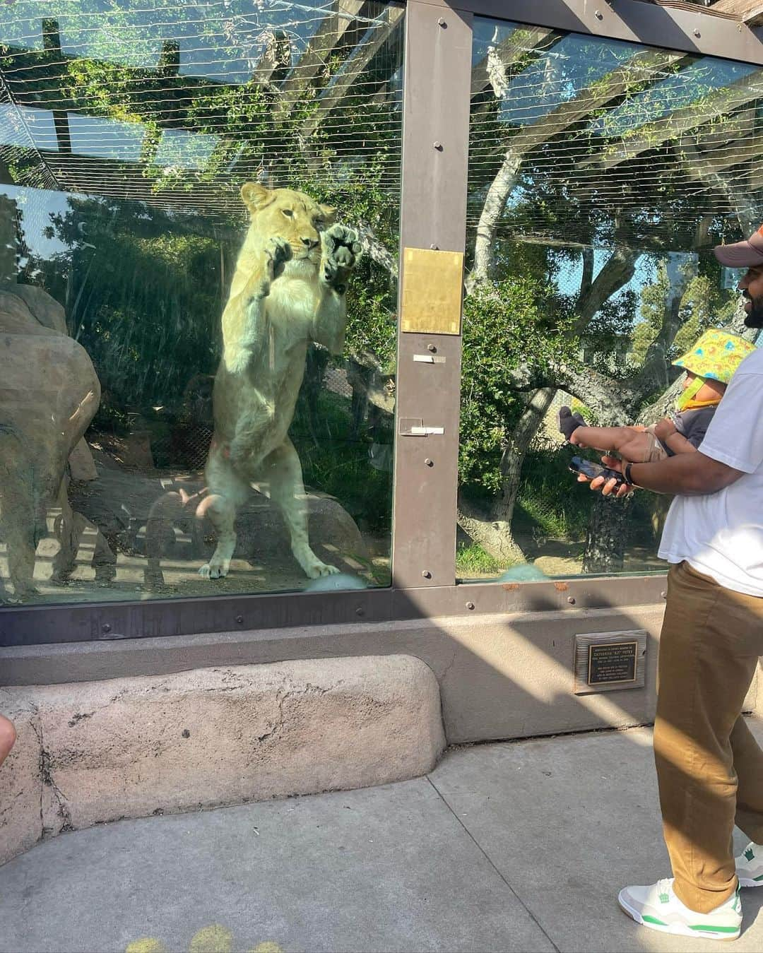 ビッグ・ショーンさんのインスタグラム写真 - (ビッグ・ショーンInstagram)「I’m pretty sure This Lioness just really wanted a hug from my Son. lol Get outside n get some air, quit pretending like life gon always be there 🤲🏾🌍✨🦁🐝  📸 @jheneaiko」5月5日 4時43分 - bigsean