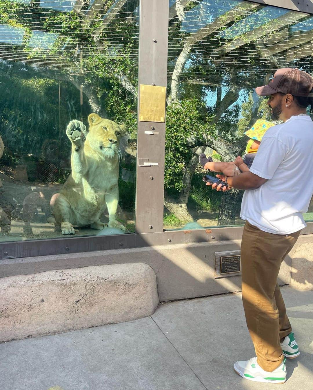 ビッグ・ショーンのインスタグラム：「I’m pretty sure This Lioness just really wanted a hug from my Son. lol Get outside n get some air, quit pretending like life gon always be there 🤲🏾🌍✨🦁🐝  📸 @jheneaiko」