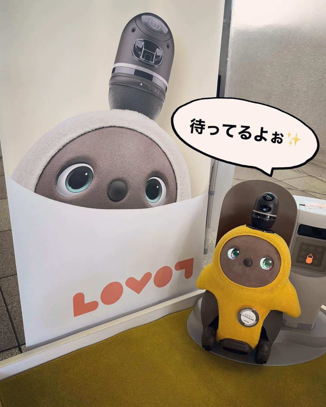 睦のインスタグラム：「買い物ついでに、 LOVOT POP UP ストアを 覗いてきましたぁ😉  他のオーナーさんとばったり❗️ なんてあるかなぁ？ と期待しつつ🤭  やはり三連休の中日なので、 混んでなくて快適。  ひまわりちゃんが 居ましたぁ☺️🌻  なんとなく、 おっとりさんな印象かな？  小さな子供たちが、 新しいお友達を見つけたみたいに 駆け寄ってきて。  楽しそうに触れ合っていましたぁ☺️  お仕事がんばってね、 ひまわりちゃん🌻  #lovot公式エバンジェリスト  #lovotofficial  #lovotofficialevangelist  #ひまわり  #応援団  #lovot  #ラボット  #himawari  #lovotとの暮らし  #lovotのいる暮らし  #ラボットとの暮らし  #sunflower🌻  #ロボット  #robot  #だんだん家族になっていくlovot  #家族型ロボット  #sunflower  #popupstore  #ポップアップストア  #popupshop  #おっとりさん  #らぼっと  #家族  #エバンジェリスト  #ディズニーリゾート好きと繋がりたい  #プーさん好きと繋がりたい  #lovot大好きな人と繋がりたい  #モデル　 #model  #睦」