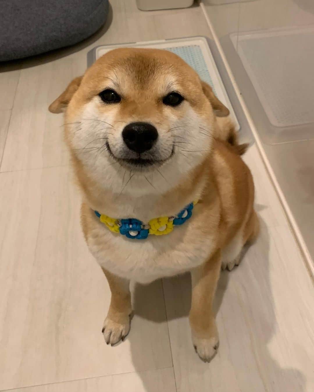 9GAGのインスタグラム