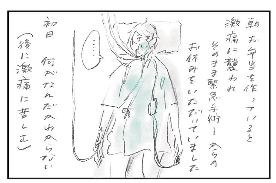 のインスタグラム：「2週間お休みをいただきました #まめ日和 です。  手術翌々日あたりからわかりやすく回復しているのが手に取るように実感できました。 仮面ライダーv3はやはり駒沢給水所で戦っていました。スッキリ！  #まめちゃん #ゆめこ #絵日記 #イラスト #procreateapp #ipadpro #applepencil   #まめ日和 は毎週金曜日の朝に親エピソード公開 #女性自身 webです  大醜態を晒した入院時の話はブログにも書いています🥲」