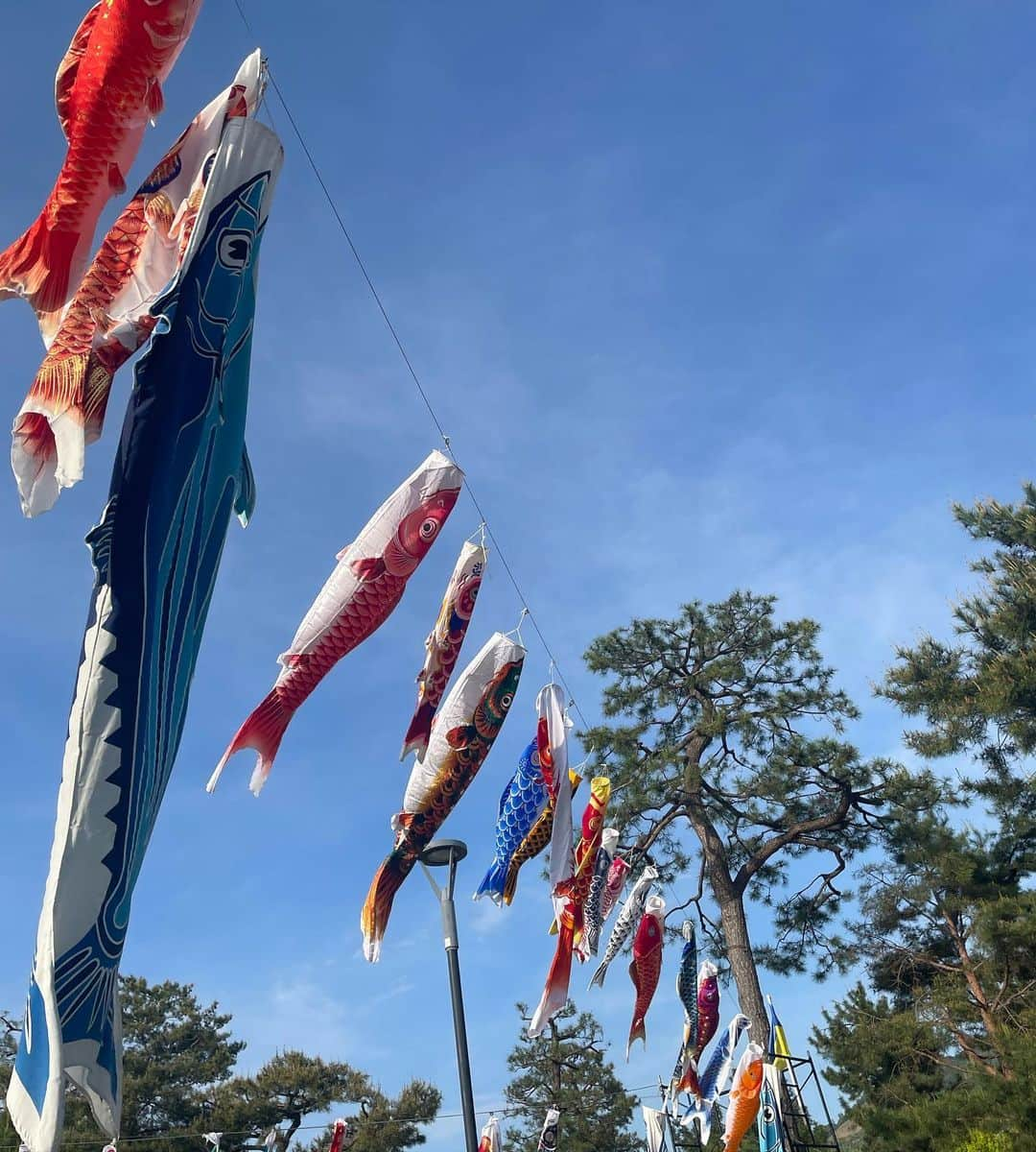 ふくい舞さんのインスタグラム写真 - (ふくい舞Instagram)「マンチ初節句🎏  first festival for Munchie🎏 A lot of fish are swimming in the sky all over Japan  楽しい子供の日を👶❤️  #子供の日🎏  #初節句🎏  #childrensday」5月5日 8時51分 - maifukui1217