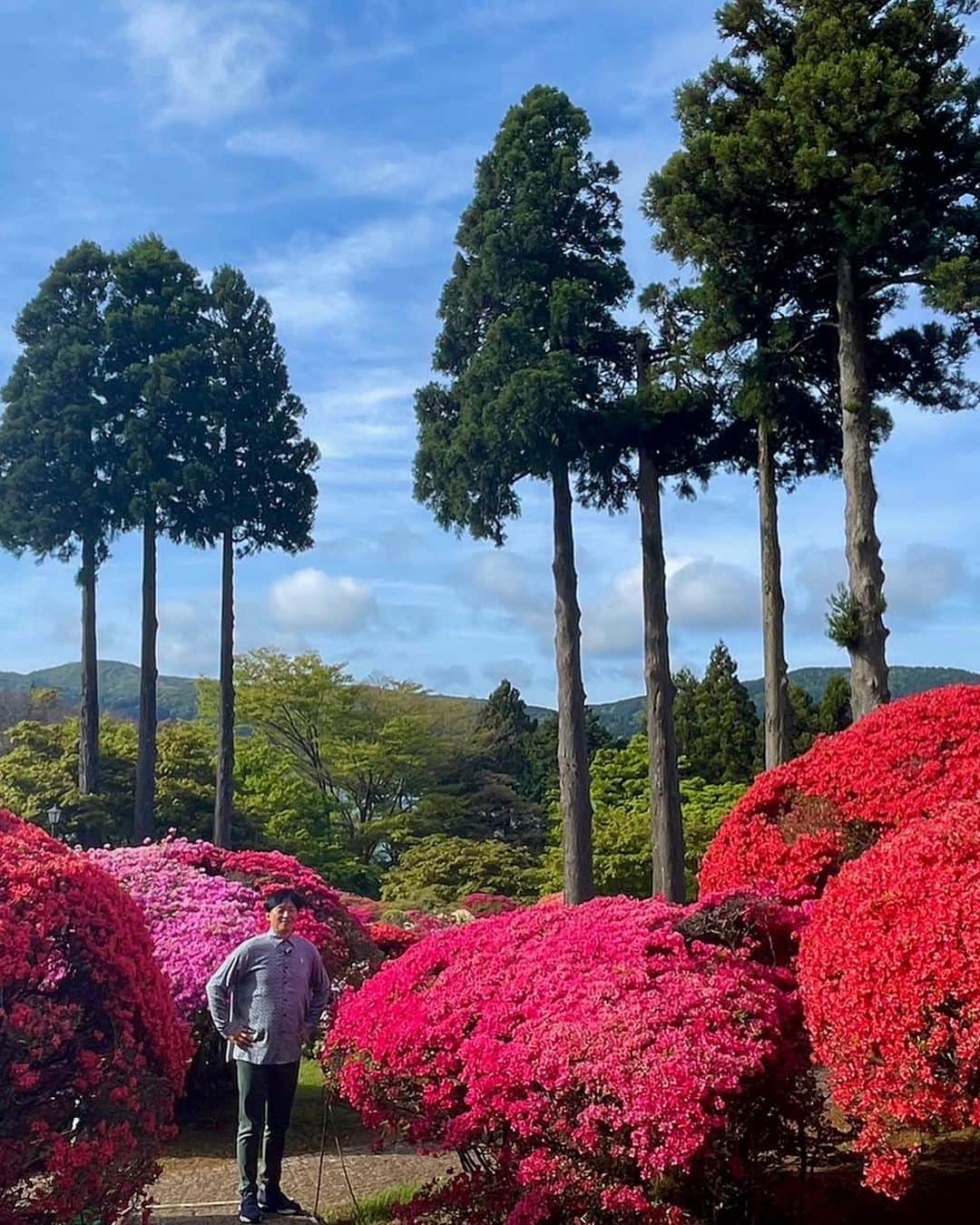 依田司さんのインスタグラム写真 - (依田司Instagram)「5月5日（金） 神奈川県箱根町『山のホテル』は言わずと知れたツツジの名所。庭園を84品種約3000株のツツジが埋め尽くします。 例年はＧＷ明けに開花が進むそうですが、今年は例年よりも７～１０日ほど早く開花し、ちょうど連休中に楽しめる状態になりました。早咲きは終わりかけですが、遅咲きはコレから開花です。 富士山とのコラボや期間限定スイーツは、映え写真に外せませんね。  #山のホテル #ALDIES #アールディーズ #依田さん #依田司 #お天気検定 #テレビ朝日 #グッドモーニング #気象予報士 #お天気キャスター #森林インストラクター #グリーンセイバーアドバンス #プロジェクトワイルド #IPCC伝導者 #japan #japantrip #japantravel #unknownjapan #japanAdventure #japanlife #lifeinjapan #instagramjapan #instajapan #療癒 #ilovejapan #weather #weathercaster #weatherforecast」5月5日 9時06分 - tsukasa_yoda