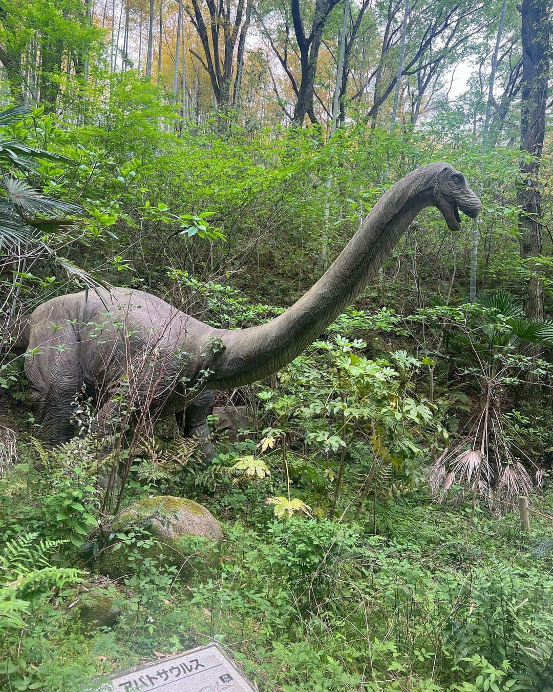 IIDA YURIさんのインスタグラム写真 - (IIDA YURIInstagram)「GWは広島へ🖤. . 恐竜好きな息子を連れて #みろくの里 へ👦🏻. . 乗り物もいっぱい乗ったし恐竜パークも楽しかった🌈 昭和な場所も最高だった。  何より晴れて良かった🖤 . #ゴールデンウィーク #広島観光  #広島旅行  #恐竜 #ダイナソーパーク #アンキロサウルス」5月5日 19時59分 - yurima_ma