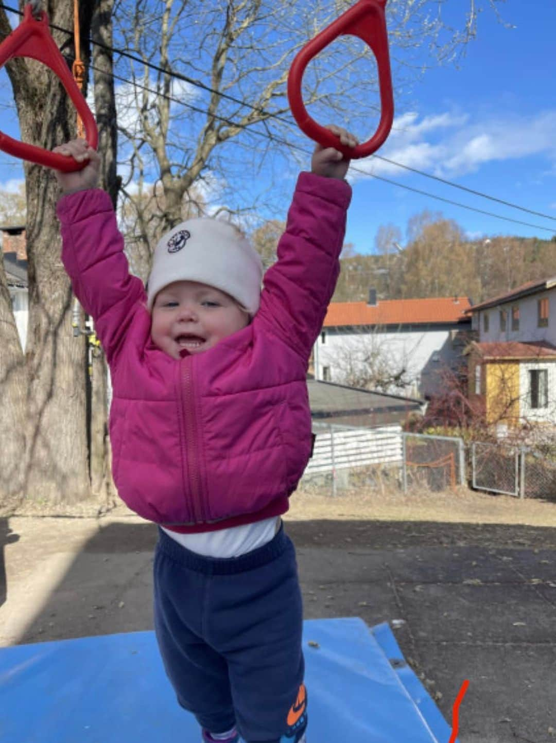 スーザン・ペターセンのインスタグラム：「Gratulere med 2 år idag Hermine. 🎂🎂❤️」