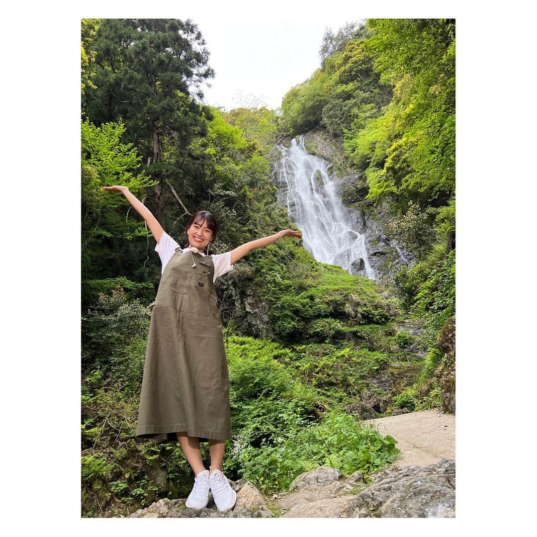 山崎香佳のインスタグラム：「#よんチャンtv  GW関西にぎわい復活SP💫 金曜日の中継のテーマは「水」  岡山県真庭市の『 #神庭の滝 』をご紹介しました！ 西日本最大級の滝。 落差が約110m 幅が約20m 豪快な流れに自然の力強さを感じました。  滝の中央には「鯉岩」が２つ。 落下する水に逆らって登るようにみえることからこのような名前がついたそうです😊  滝までの道のりも整備されていて、お子さんもすいすいと登っていました！ お昼には野生の猿にも会えましたよ🐒可愛かった！ この時期はあまり降りてこないらしく、ラッキーでした！  大阪市から車で3時間くらい🚗 初夏にぴったりのお出かけスポットです！🫧」