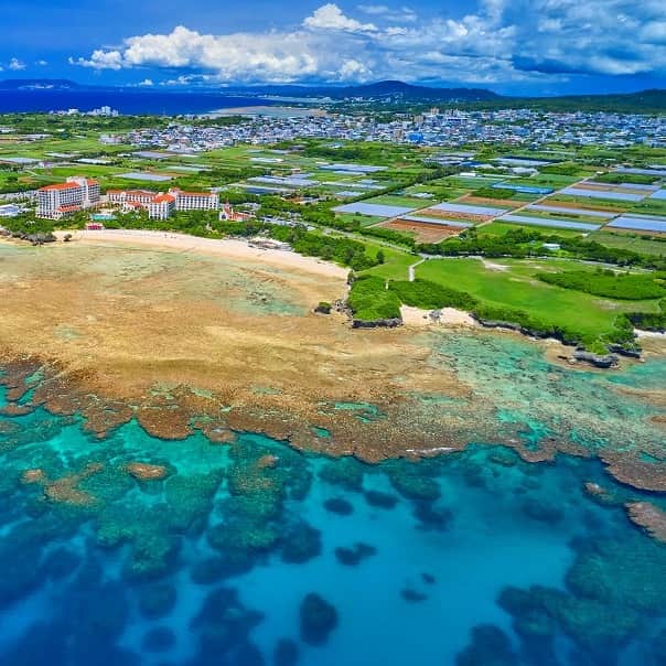 ホテル日航アリビラ 公式Instagramさんのインスタグラム写真 - (ホテル日航アリビラ 公式InstagramInstagram)「. ＼🐠リーフトレイル🐠／ ホテル前に広がる海は“アリビラブルー”と呼ばれ、沖縄本島屈指の透明度を誇ります。波打ち際のニライビーチは、県内でも数少ない星砂が見られる砂浜です。また、1日に2回繰り返される潮の満ち引きにより、大潮の干潮時に自然の礁池（沖縄の方言で「イノー」）が現れます🌊  日航アリビラでは事前にオリエンテーションをした後、ガイドと一緒にリーフを歩きながらニライビーチの生き物を観て触って自然環境を学べるリーフトレイルをお楽しみいただけます。  潮が引いて顔を出したリーフは、さまざまな海の生き物との出会いに満ちております。色鮮やかな魚やヤドカリ、カニ、ヒトデ、ナマコなど、透明なニライビーチで小さな生き物たちを実際に見たり、お気に入りを探して、お楽しみくださいませ🦀  【催行期間】5月4日、7月～8月 【所要時間】90分 【料金】宿泊者　大人3,200円／小人2,700円（3歳～小学生）、外来　大人4,200円／小人3,700円（3歳～小学生）全て税込み 【集合場所】マリンハウス ※開催日時はマリンハウスへお問い合わせください。 ※最少催行人数2名 ※小学生以下保護者同伴 ※ご予約後、キャンセルされる場合は開催時間の1時間前までにご連絡ください。 ※天候・海洋状況により中止になる場合がございます。  ▼詳しくはこちら▼ https://www.alivila.co.jp/activity/archive/1019/  #ホテル日航アリビラ #アリビラ #リゾート #沖縄リゾートホテル #アリビラブルー #アリビラ時間 #ニライビーチ #沖縄 #沖縄旅行 #沖縄観光 #沖縄絶景 #女子旅 #沖縄ホテル #オーシャンビューホテル #読谷 #読谷村 #沖縄プール #記念日旅行 #誕生日旅行 #カップル旅行 #夫婦旅行 #マリンアクティビティ #リーフトレイル #海の生き物 #珊瑚 #干潮 #潮干狩り」5月5日 19時00分 - hotelnikkoalivila