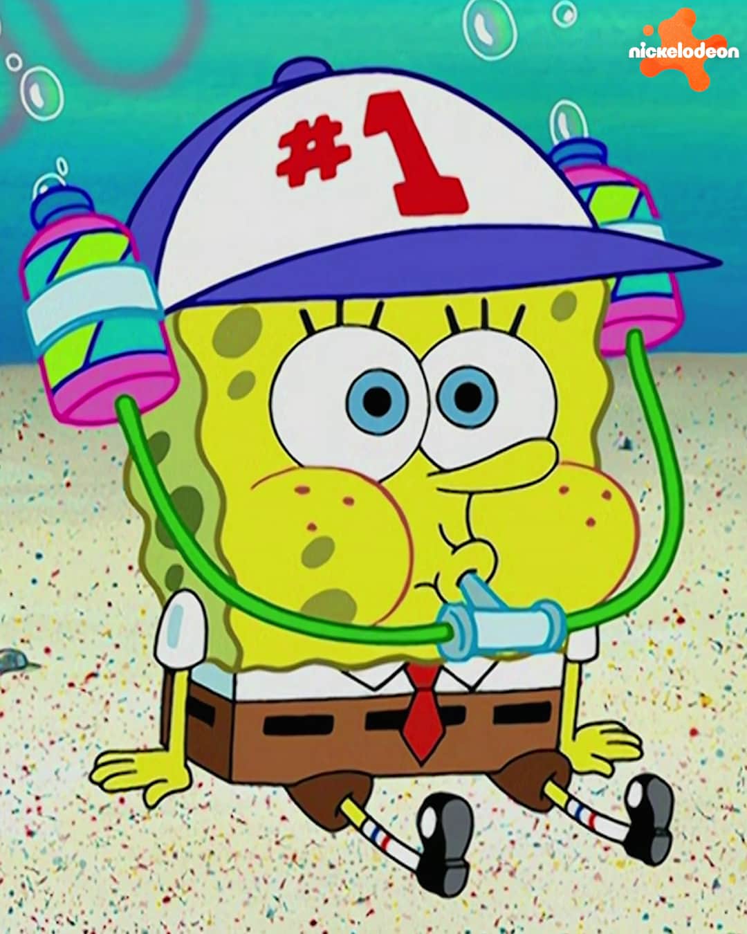 スポンジボブさんのインスタグラム写真 - (スポンジボブInstagram)「Dust off your finest hats for the seahorse races」5月5日 19時01分 - spongebob