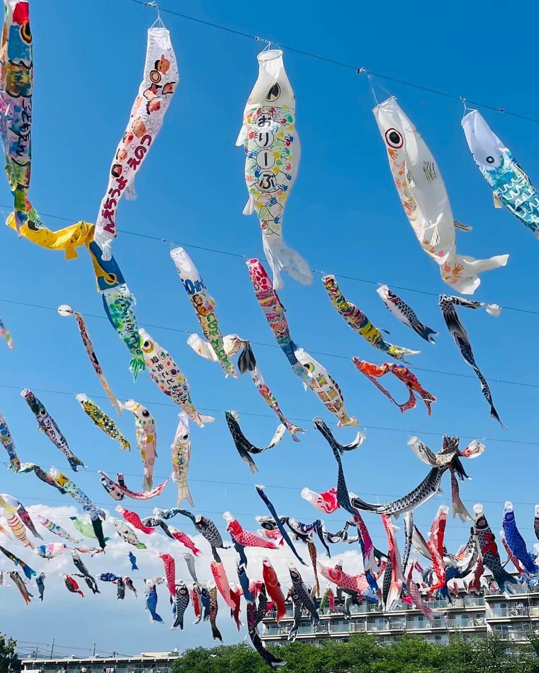 小嶋晶子さんのインスタグラム写真 - (小嶋晶子Instagram)「I went to the carp streamer festival. 1000 carp streamers were flying in the wind in the blue sky. It was very impressive! 🎏 BTW, May 5th is Children's Day in Japan. People celebrate children's happiness, health and growth, and they decorate carp streamers and may doll. ゴウゴウと風が吹くなか気持ちよさそうに泳ぐこいのぼりを愛でに🎏 本当に1000匹いるのか？数えてみましたが…7匹当たりでどうでもよくなりました。 #こいのぼり #こいのぼりフェスタ  #こいのぼりフェスタ1000  #芥川桜堤公園  #koinobori  #osaka #japan #🎏 #🇯🇵」5月5日 19時16分 - kojimamajiko
