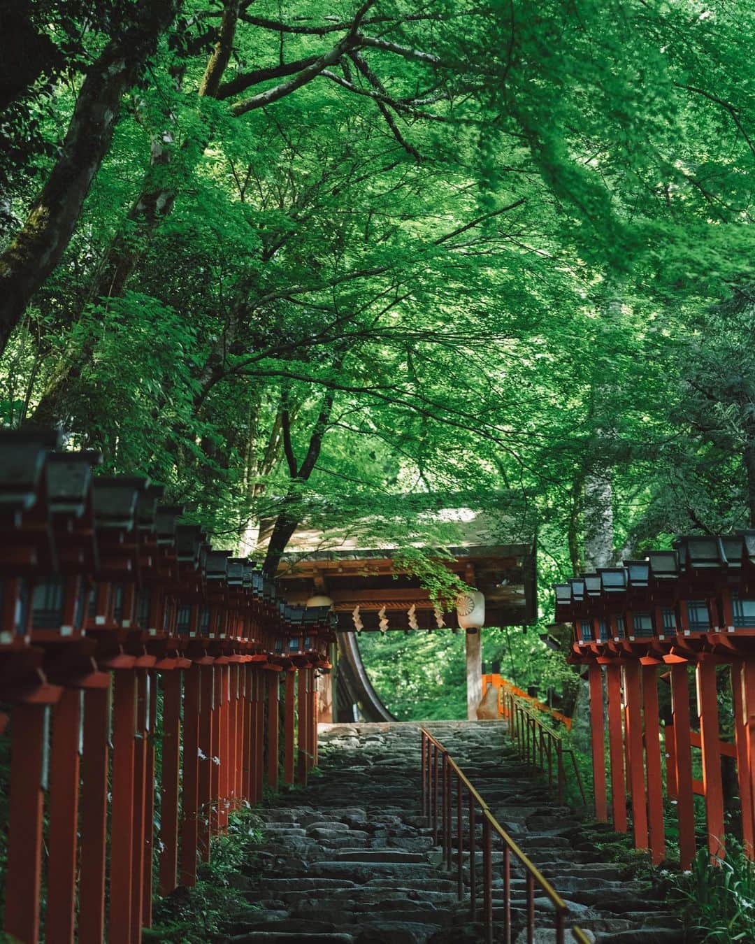 貴船神社さんのインスタグラム写真 - (貴船神社Instagram)「貴船 新緑」5月5日 19時28分 - kifunejinja