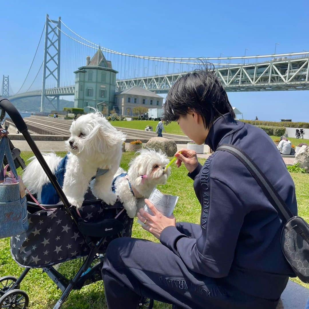 滝沢ななえさんのインスタグラム写真 - (滝沢ななえInstagram)「GW休暇はハニさんの地元である神戸に帰省。  明石海峡大橋の見える 舞子公園でちび達とのんびりお散歩☀️  絶景が広がっていてお散歩が すっごく気持ち良かった。  東京は刺激がたくさんで 楽しいこともあるけど ずーっと頑張っていると 疲れちゃうときもある。  だからこうして自然の近くで のーんびり過ごすことも必要だなと。  滝沢も今年で36歳。 いつまでトレーナーという仕事を やっていけるんだろう？ なんて思うこともあります。  だけどこの仕事が好きで 長く続けたいと思うからこそ 心と身体を労わることも必要だと やーーーーーっと思えるようになりました。  独立して3年が過ぎ4年目。 とにかくガムシャラに仕事してきたけど 自分もそんなに若くないなぁなんて 思うようになってきたのもある。  ムリしても良いことないなって。 質の良い仕事をするには 自分の中に余白を作りながらやらねばと。  思う存分頑張る時期も必要だし まだまだ頑張らないといけないけれど たまには休むこともしないとね。」5月5日 19時46分 - nanaetakizawa