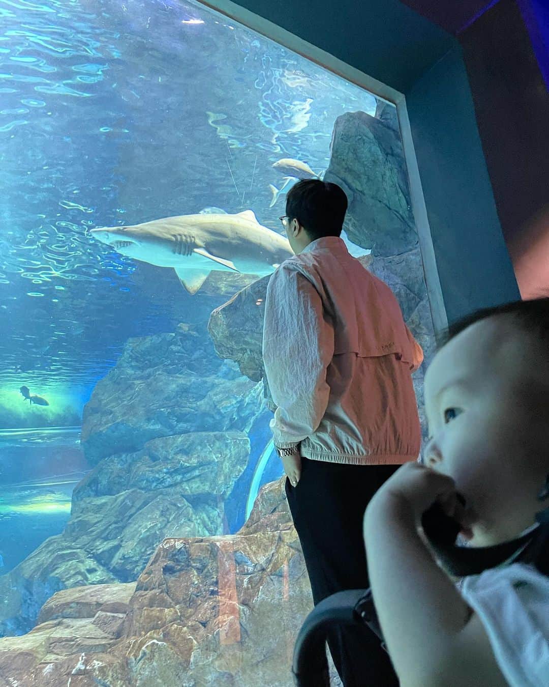 ヨンジュン さんのインスタグラム写真 - (ヨンジュン Instagram)「#230505 우리애기 첫 어린이날 👶🏻 진짜 물고기를 보여줬다🐠🐟」5月5日 19時55分 - windboy511