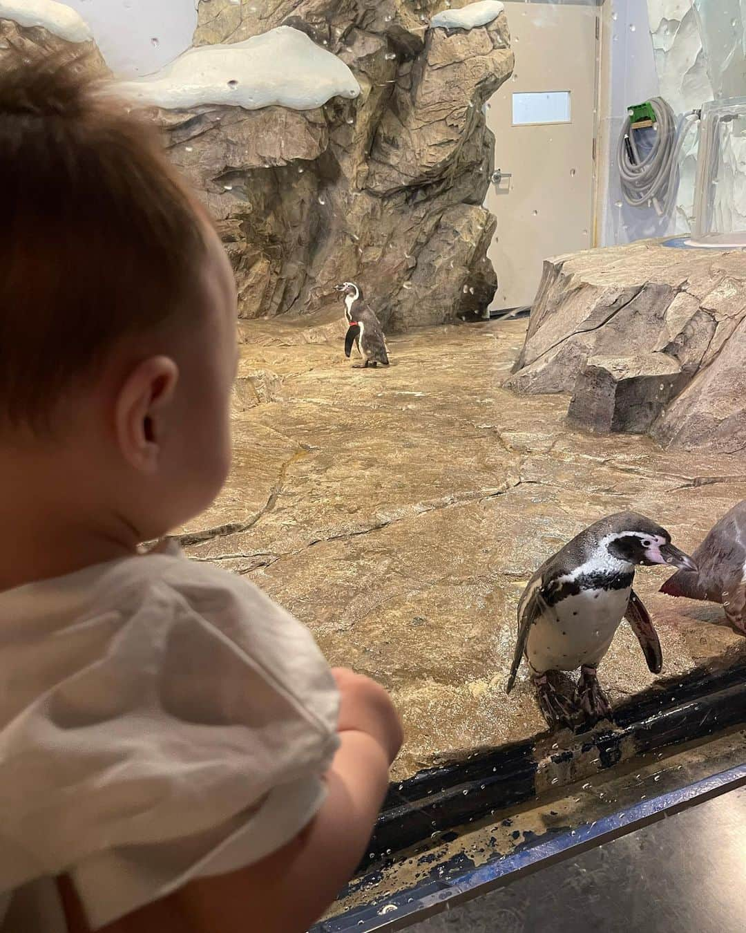 ヨンジュン さんのインスタグラム写真 - (ヨンジュン Instagram)「#230505 우리애기 첫 어린이날 👶🏻 진짜 물고기를 보여줬다🐠🐟」5月5日 19時55分 - windboy511