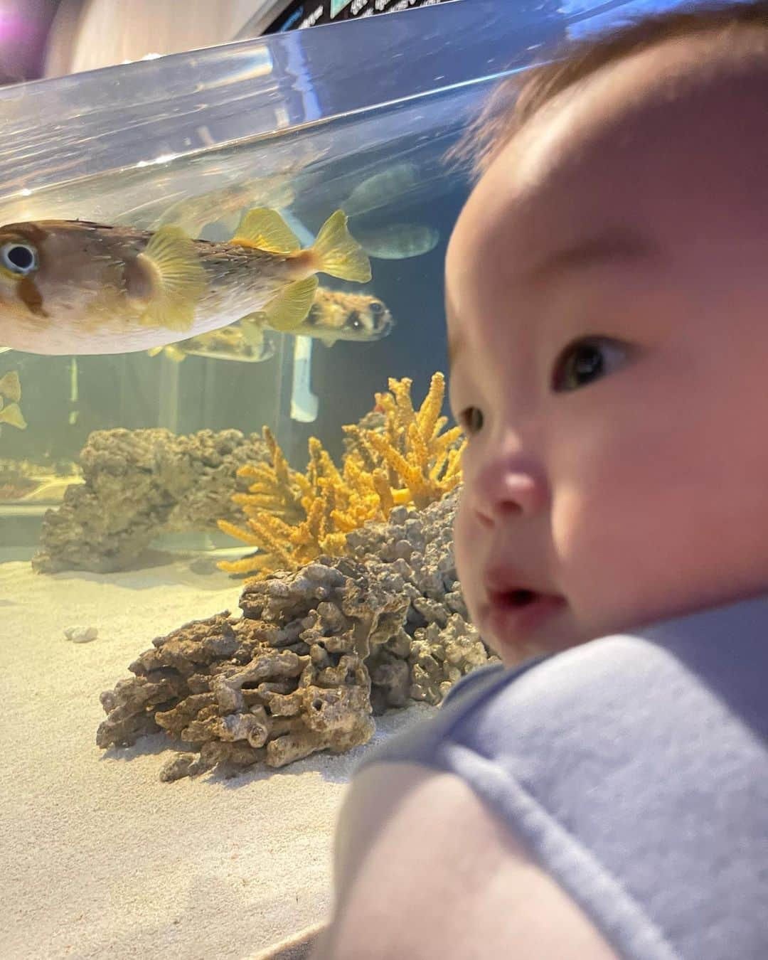 ヨンジュン さんのインスタグラム写真 - (ヨンジュン Instagram)「#230505 우리애기 첫 어린이날 👶🏻 진짜 물고기를 보여줬다🐠🐟」5月5日 19時55分 - windboy511