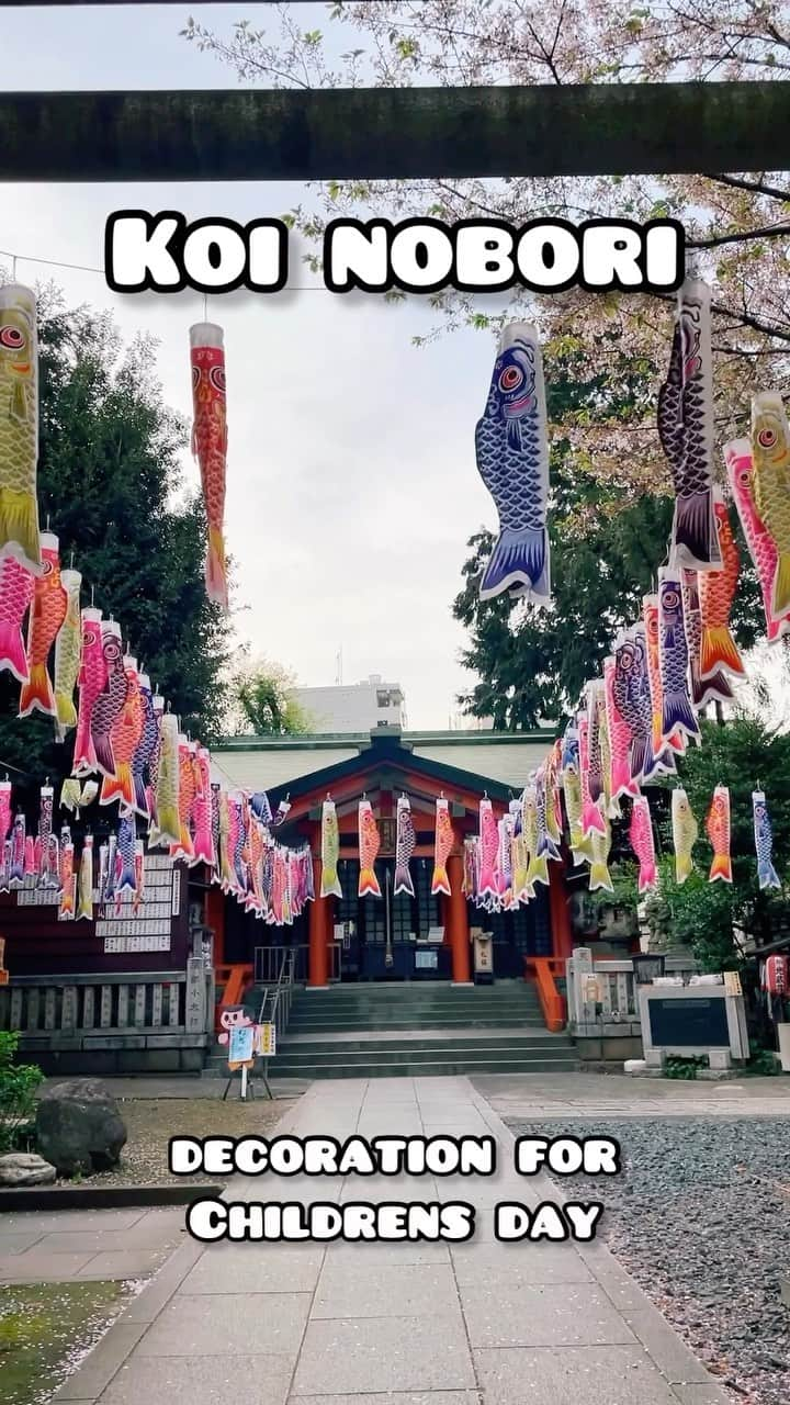 Anji SALZのインスタグラム：「Today is children’s day in Japan 🎏 A celebration for the boys - since the girls have their HINAMATSURI 🎎   @emiomashi found this cute hidden shrine in Ikebukuro and we went together 💗  #koinobori #childrensday #koi #carp #japan #鯉のぼり #こどもの日」