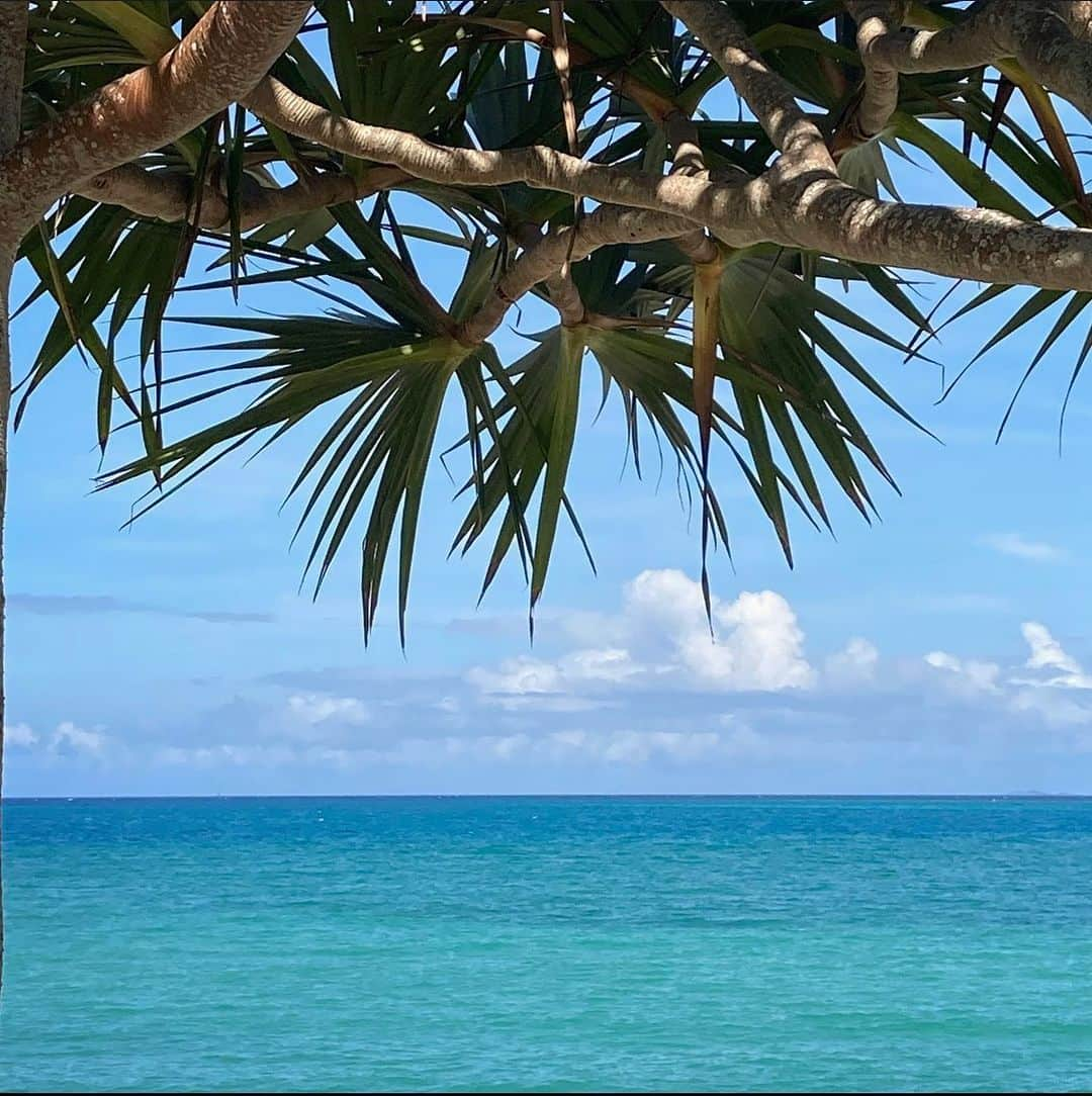 majunさんのインスタグラム写真 - (majunInstagram)「青い海に降り注ぐ太陽の光。 MAJUN OKINAWAには眩しい海に映えるかりゆしウェアが揃っています。  #majun #majunokinawa #マジュン #かりゆし #かりゆしウェア #かりゆしシャツ #沖縄旅行 #沖縄観光 #沖縄観光スポット #沖縄好き #沖縄好きな人と繋がりたい #沖縄生活 #沖縄土産 #沖縄本島 #沖縄離島 #沖縄リゾート #沖縄フォト #沖縄結婚式 #リゾート婚 #リゾート挙式 #ギフト #ギフトにおすすめ #糸満 #那覇 #豊見城 #イーアス沖縄豊崎 #やちむん通り #西崎 #豊崎」5月5日 11時00分 - majunokinawa