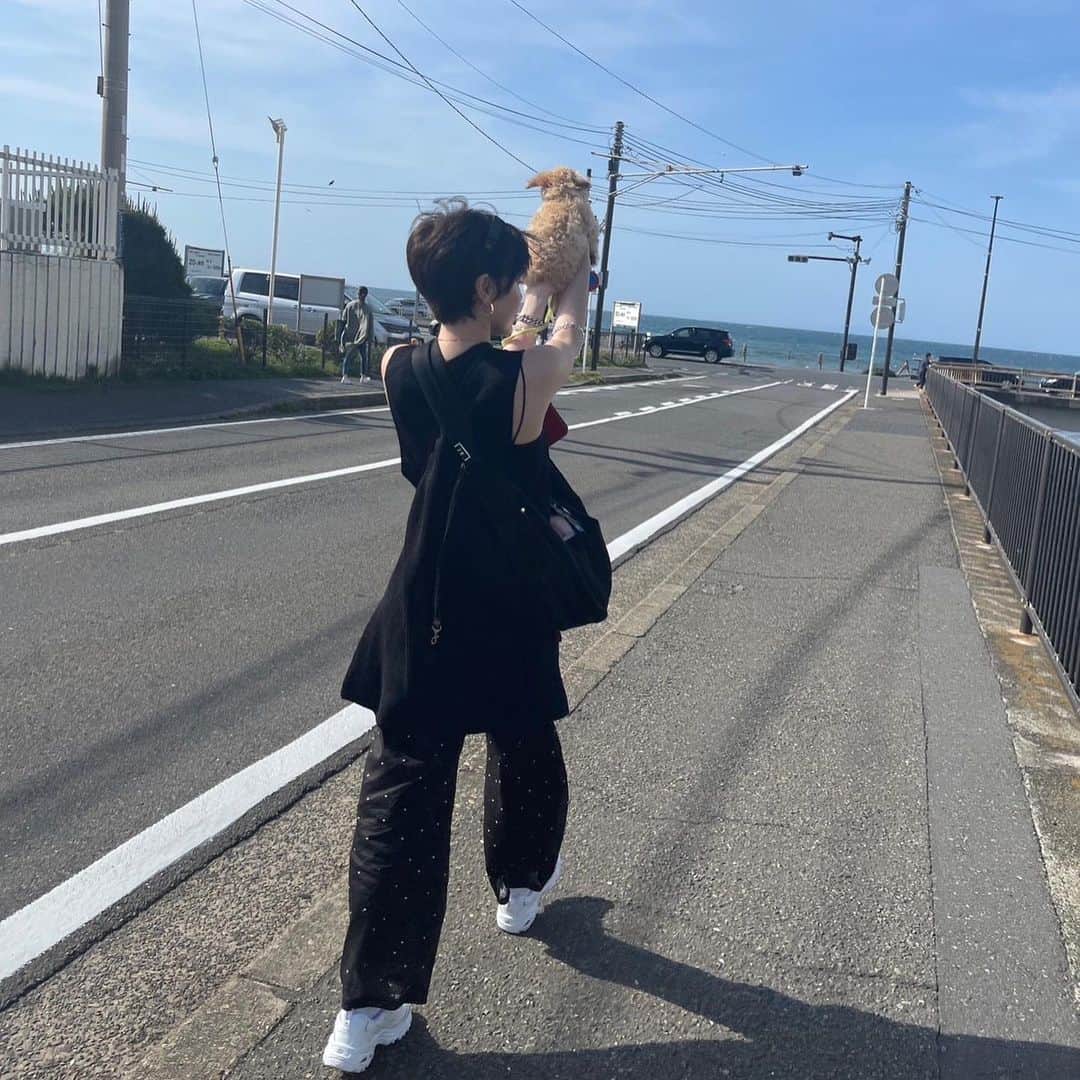 ダンシーシャノン美沙さんのインスタグラム写真 - (ダンシーシャノン美沙Instagram)「臨月のお友達に会いにサンと🐶✨✨ お腹がぽんぽこりんになっていて これから起こる奇跡に今からじわん。  当たり前のことなんてなにもなくて 友達に会えることも当たり前じゃない  新たな命ができたり  自然の循環が常に起きてる🌍✨  3年前の私たちからは信じれない 程のお互いの変化  あ〜幸せって言いながら 笑い合いながら過去の話ができる お友達がいて幸せ🍀  毎日小さな幸せも「幸せ」と 感じられることが「幸せ」。  お金持ちになったら幸せとは 限らない、 どんな状況でも幸せと感じられる人 は、それこそが幸せ  だから怒っちゃいけない。 怒りのエネルギーは必要のないもの マインドに常に手綱をつけて 自分でコントロール出来ている状態 だと怒りは出てこないらしい。  怒っている時はマインドを意識的に コントロール出来ていなくて いわゆる暴れ馬状態🐎  マインドにきちんと手綱をつけて コントロール出来るようになると 怒りの感情が出てきてもそれが 無くなるまで見守ることができる  だから結果的に人に怒ることが なくなるということ☺️  Be happy 💕  #瞑想 #子犬 #チワプー #ゴールデンウィーク #マインド #マインドフルネス #ポジティブ #考え方  #引き寄せの法則 #アファメーション」5月5日 11時13分 - shannon.fancy