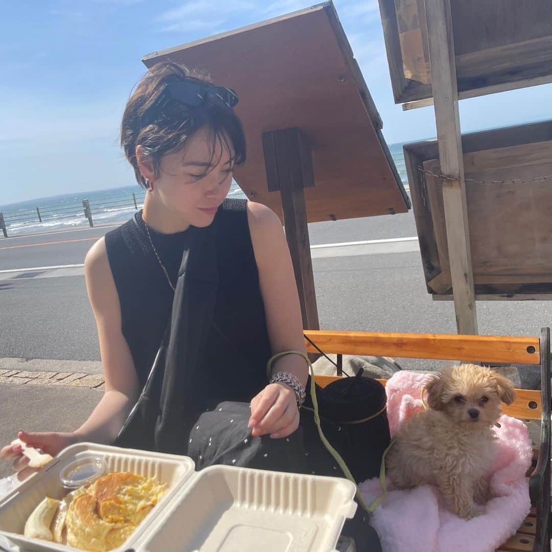 ダンシーシャノン美沙さんのインスタグラム写真 - (ダンシーシャノン美沙Instagram)「臨月のお友達に会いにサンと🐶✨✨ お腹がぽんぽこりんになっていて これから起こる奇跡に今からじわん。  当たり前のことなんてなにもなくて 友達に会えることも当たり前じゃない  新たな命ができたり  自然の循環が常に起きてる🌍✨  3年前の私たちからは信じれない 程のお互いの変化  あ〜幸せって言いながら 笑い合いながら過去の話ができる お友達がいて幸せ🍀  毎日小さな幸せも「幸せ」と 感じられることが「幸せ」。  お金持ちになったら幸せとは 限らない、 どんな状況でも幸せと感じられる人 は、それこそが幸せ  だから怒っちゃいけない。 怒りのエネルギーは必要のないもの マインドに常に手綱をつけて 自分でコントロール出来ている状態 だと怒りは出てこないらしい。  怒っている時はマインドを意識的に コントロール出来ていなくて いわゆる暴れ馬状態🐎  マインドにきちんと手綱をつけて コントロール出来るようになると 怒りの感情が出てきてもそれが 無くなるまで見守ることができる  だから結果的に人に怒ることが なくなるということ☺️  Be happy 💕  #瞑想 #子犬 #チワプー #ゴールデンウィーク #マインド #マインドフルネス #ポジティブ #考え方  #引き寄せの法則 #アファメーション」5月5日 11時13分 - shannon.fancy