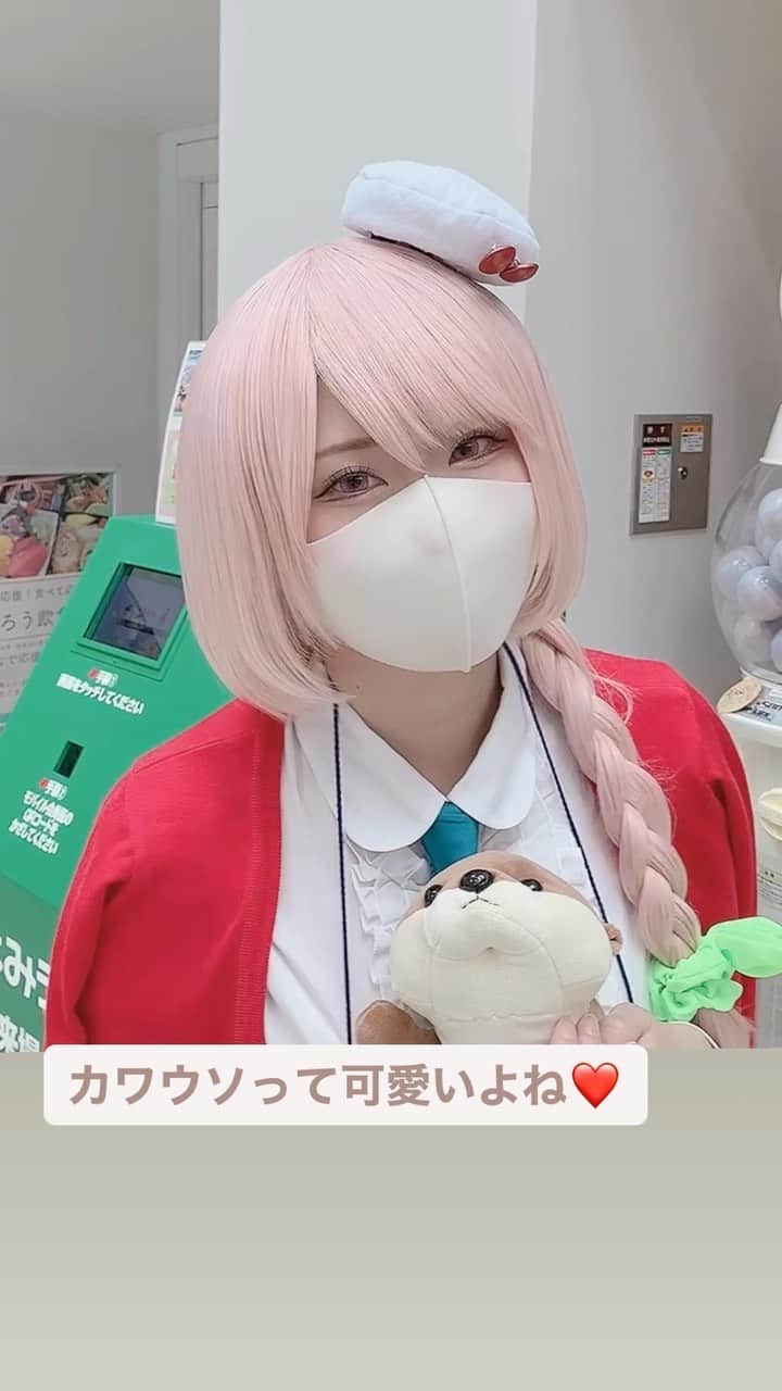 のインスタグラム：「ひょっこりはん？ #カワウソ #よみうりランド #cosplay」