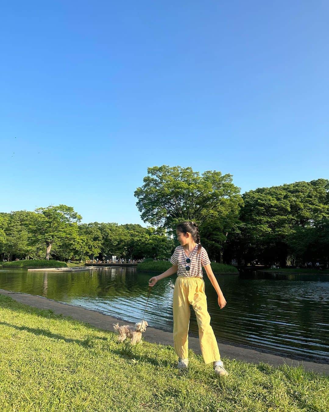 簑島三佳のインスタグラム：「春最高  チビはのんびり過ごす休日が大好き  夜はコナン君観て大満足だった模様  タフタバルーンはペプラムにしたりワンショルダーにしたり色々楽しめるよ♡  @honeymihoney_official  #HONEYMIHONEY」