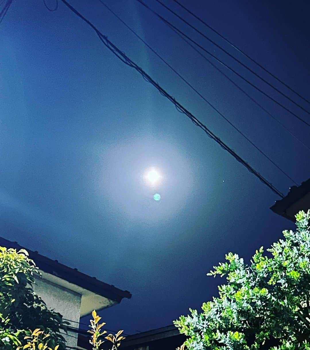 土屋眞弓のインスタグラム：「昨夜の月と我が家のミモザとお榊と楠とお向かいの屋根と電線🤣 こんなに綺麗な🌕なのに邪魔ものが‥‥  #moonlight」