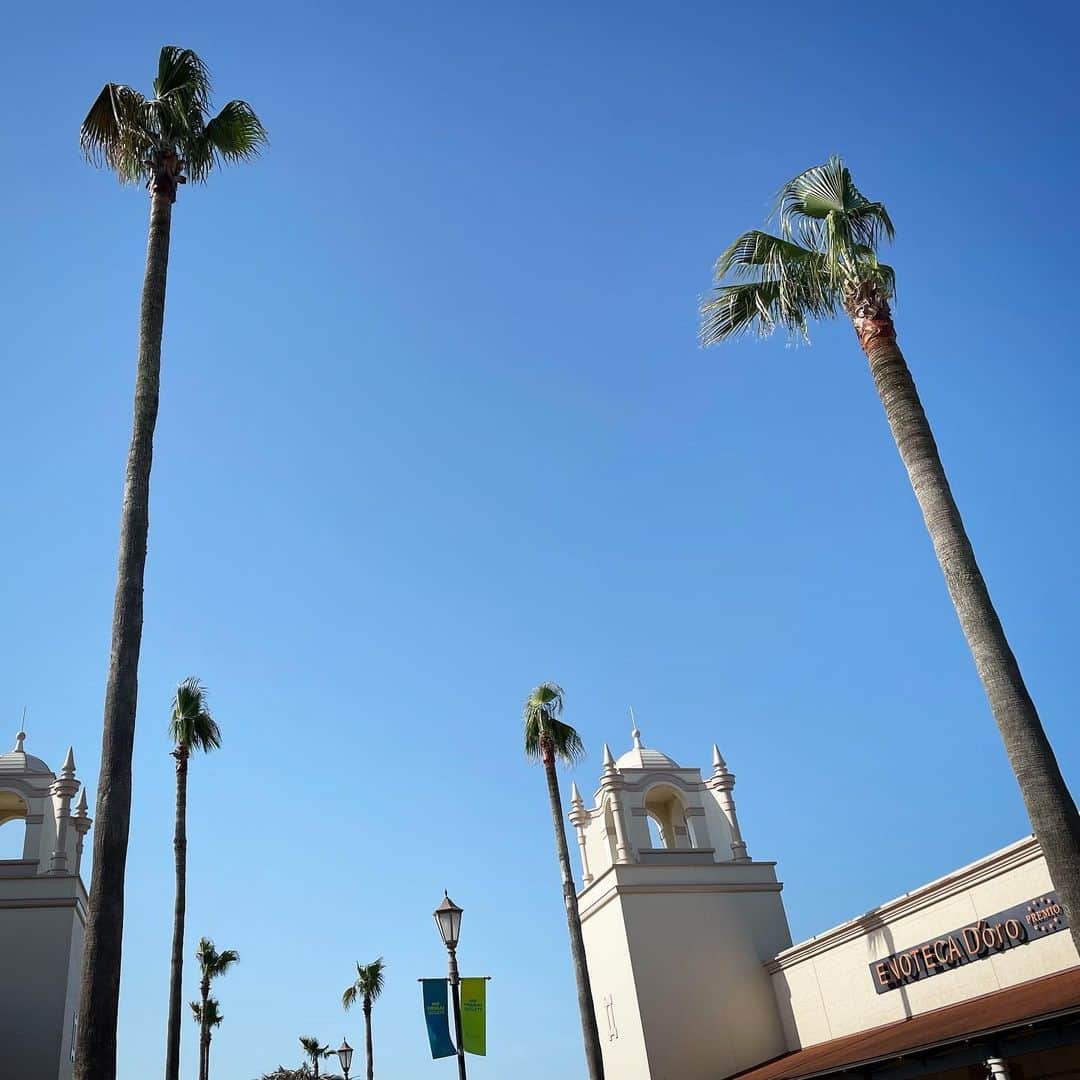 田中香子さんのインスタグラム写真 - (田中香子Instagram)「ゴールデンウィークは 晴れ渡るカリフォルニアへ。 ウエストコーストの空は どこまでも青かった。。。  嘘です。  茨城のアウトレットです。 椰子の向こうに大仏さま。 尊いです。ちーん。 稽古用のジャージ買いました。  #牛久大仏」5月5日 13時10分 - soo.yt