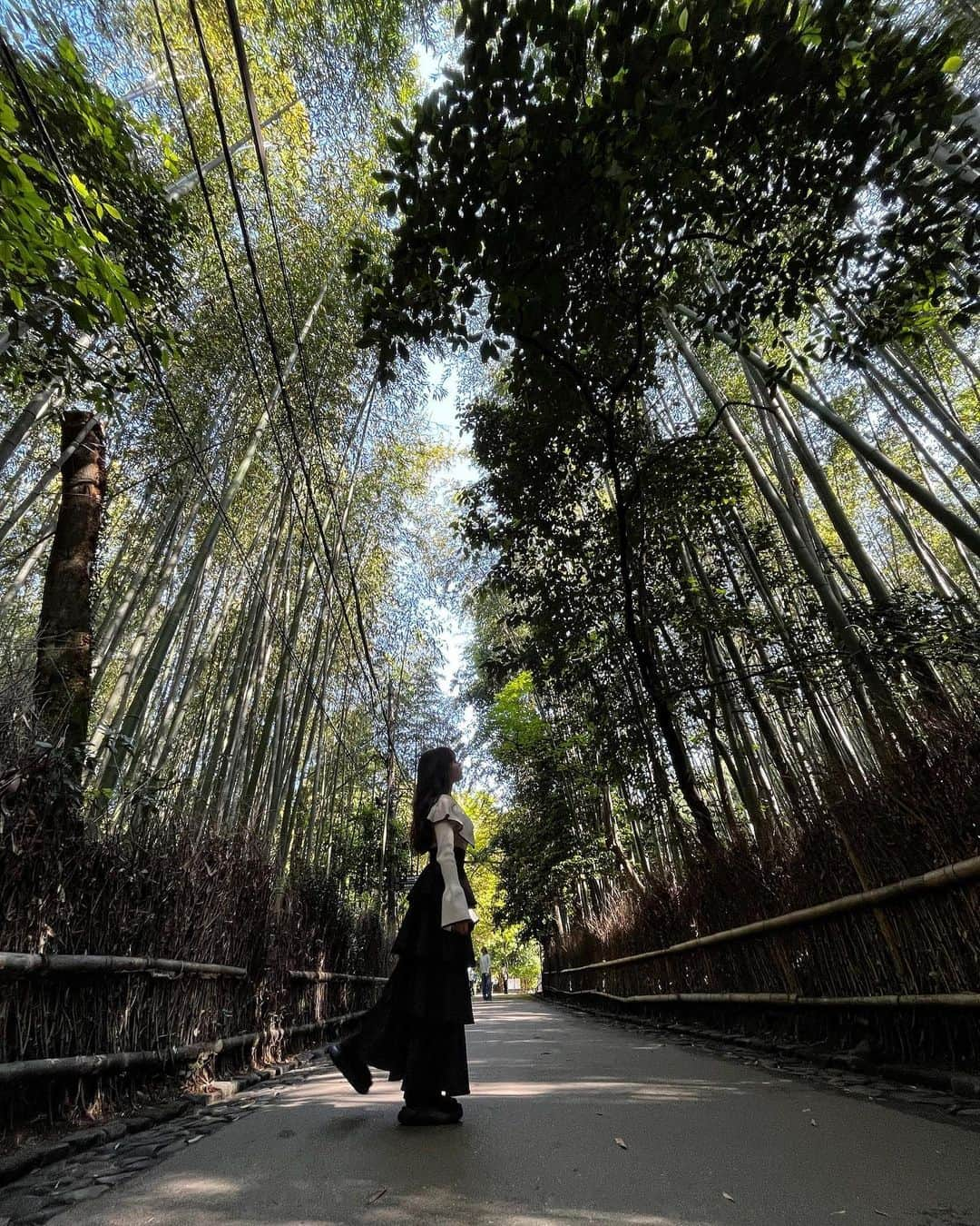 渡邉鈴音のインスタグラム：「竹林の小径🍃 朝日が差し込み綺麗でした⛅️ ・ ・ ・ ・ ・ ・ ・ ・ ・ ・ #竹林の小径 #竹林 #竹林の道 #京都 #京都観光 #京都旅行 #旅行記 #kyoto #kyotojapan #観光スポット」