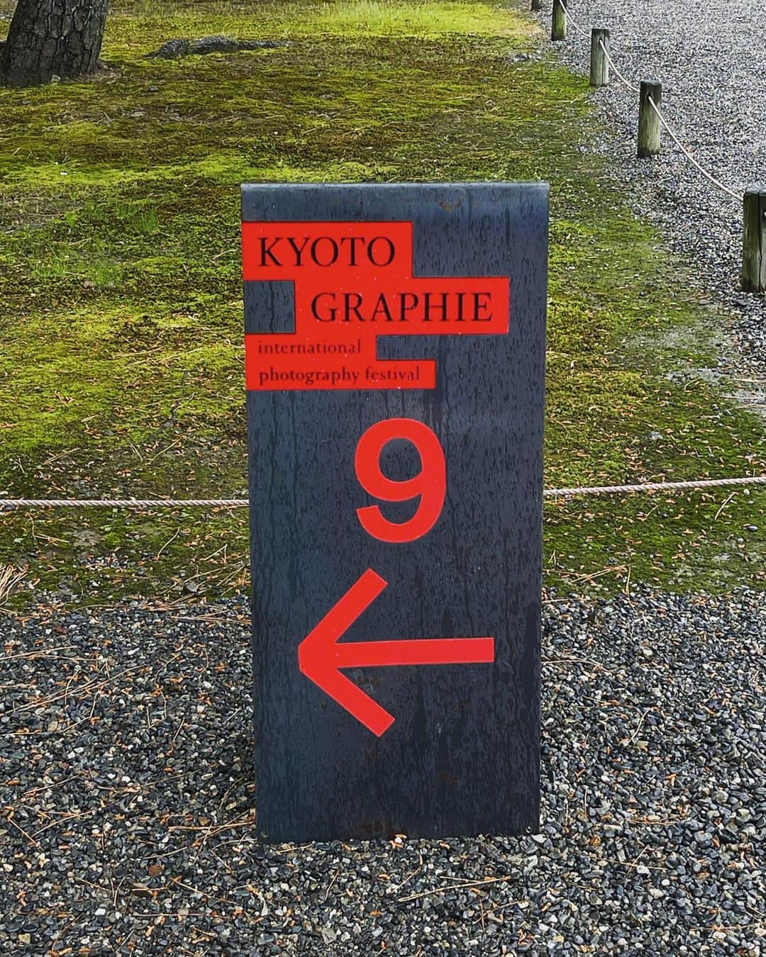 大島央照さんのインスタグラム写真 - (大島央照Instagram)「こんにちは！GWですね♪ みなさん、いかがお過ごしですか？ 私は変わらず仕事の毎日ですが、先日京都での撮影の合間に、4月15日（土）～5月14日（日）まで、京都市内各所で開催されている「KYOTOGRAPHIE 京都国際写真祭 2023」 @kyotographie のメインプログラムの一つ、二条城 二の丸御殿 台所・御清所にて、高木由利子さんの「PARALLEL」WORLD Presented by DIORを見てきました。ー二条城の落ち着きの中での圧巻の作品と展示、本当に素晴らしくて、見れて良かったです。  第11回目を迎える今年のテーマは「BORDER」だそうで、京都⽂化博物館別館、両⾜院、出町桝形商店街など19カ所を会場に展開されています。1日では回りきれないかと思いますが、写真やアートが好きな方には特におすすめです！✨  それでは、いいGWをお過ごしください😊✨  #kyotographie  #高木由利子 #yurikotakagi #photo #写真 #京都 #kyoto #二条城 #こどもの日」5月5日 13時28分 - chiakioshima