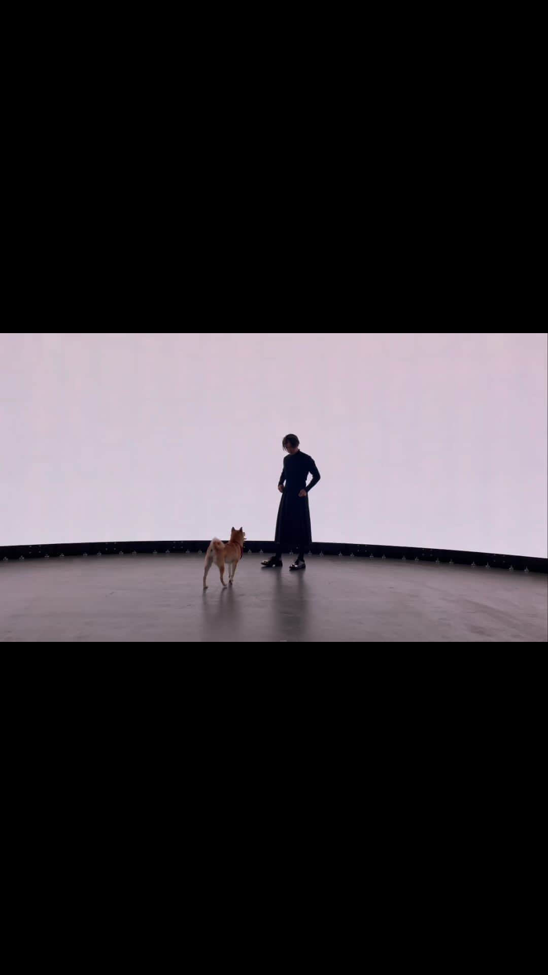 チェン・ボーリンのインスタグラム：「Dancing with Afuri 📽️ 🕺🪩」