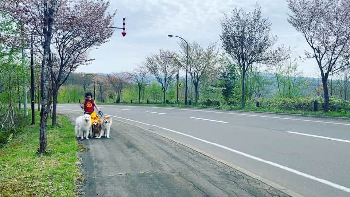 鈴井貴之のインスタグラム：「子供の日。 赤平に金太郎現る！  世の子供たちよ、元気に明るく育つのだぞ！」