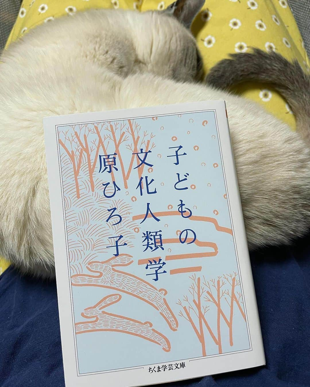 松田青子さんのインスタグラム写真 - (松田青子Instagram)「April📚🔮💕」5月5日 14時13分 - matsudaoko