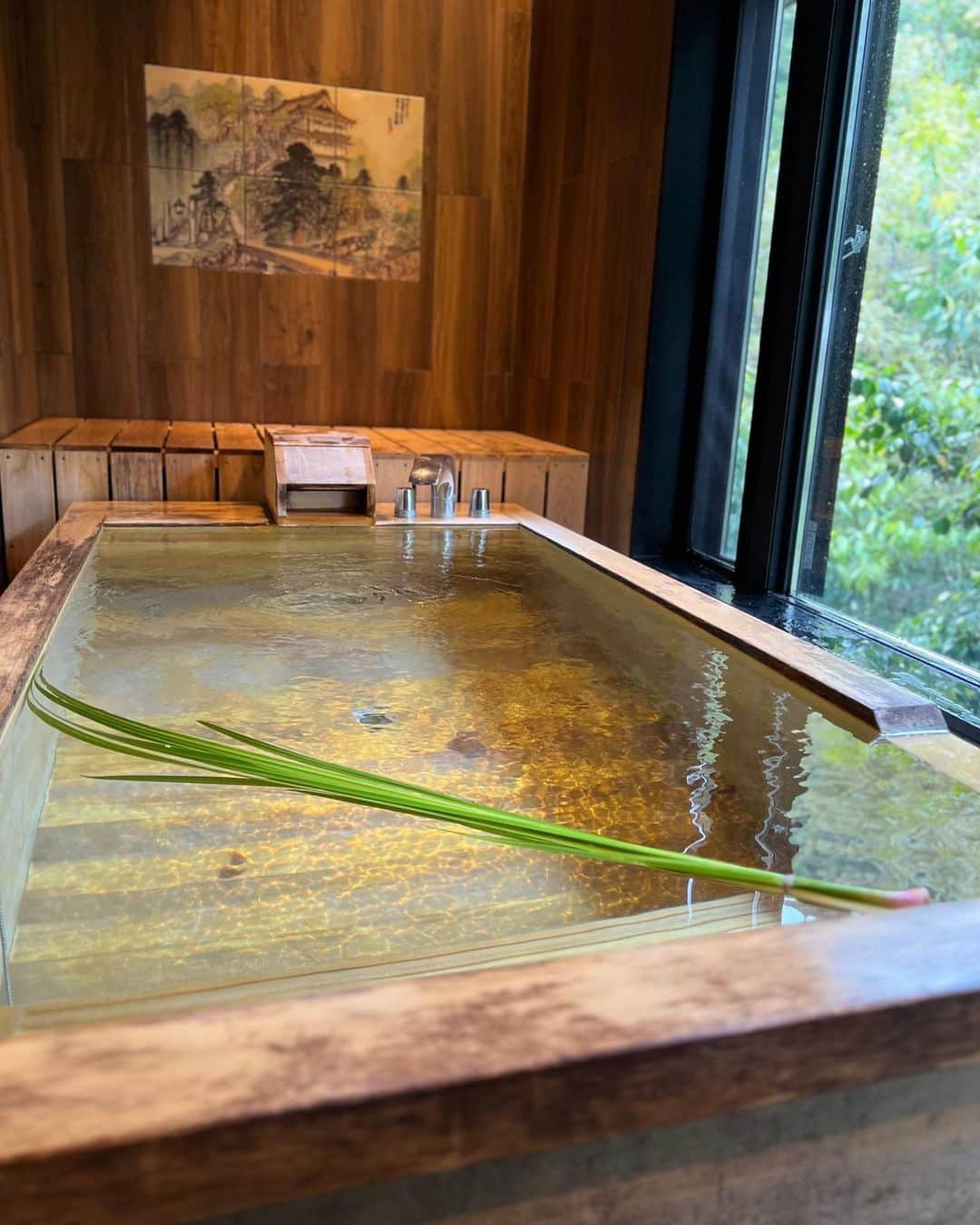 湯の山温泉 寿亭|Ryokan KOTOBUKITEIさんのインスタグラム写真 - (湯の山温泉 寿亭|Ryokan KOTOBUKITEIInstagram)「本日は５月５日　端午の節句🎏  当館の温泉は 本日限定の#菖蒲湯 です♨️  菖蒲は昔から薬草とされており 邪気や病気災難よけとして使われていたそうです🌱  本日ご来館されるお客様 お気をつけてお越しくださいませ🚗  #旅館寿亭 #寿亭 #湯の山温泉 #菖蒲湯 #こどもの日」5月5日 14時19分 - kotobukitei_ryokan