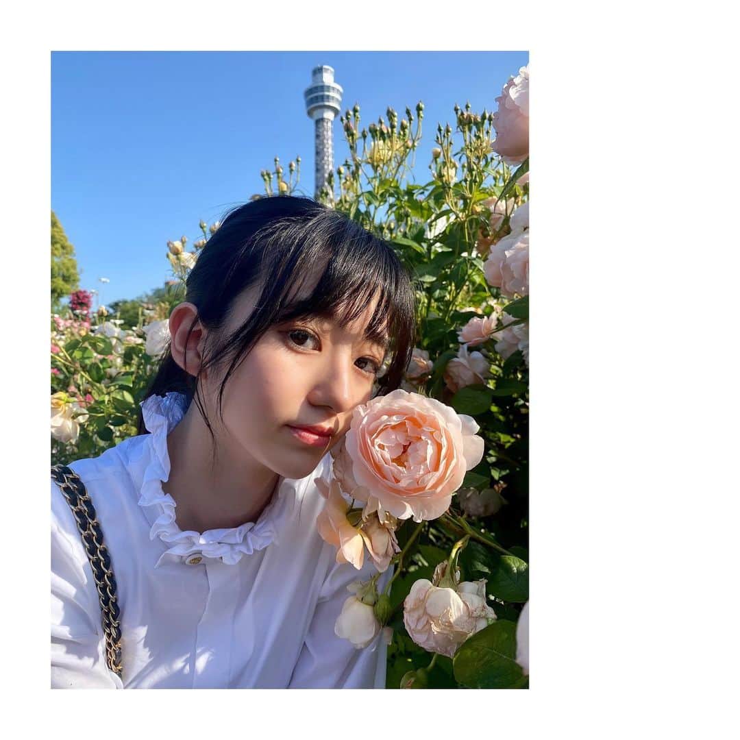 大島璃音さんのインスタグラム写真 - (大島璃音Instagram)「ゴールデンウィーク✌︎  薔薇が見頃の山下公園に！ 青空と満開の薔薇がとっても美しくて癒されました😌  #山下公園 #横浜マリンタワー  #薔薇」5月5日 14時24分 - rinon_ohshima