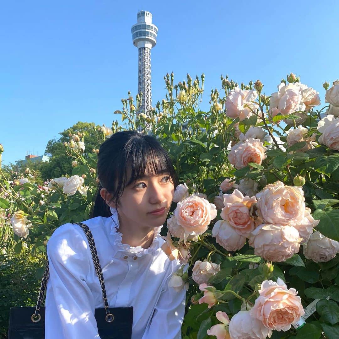 大島璃音さんのインスタグラム写真 - (大島璃音Instagram)「ゴールデンウィーク✌︎  薔薇が見頃の山下公園に！ 青空と満開の薔薇がとっても美しくて癒されました😌  #山下公園 #横浜マリンタワー  #薔薇」5月5日 14時24分 - rinon_ohshima