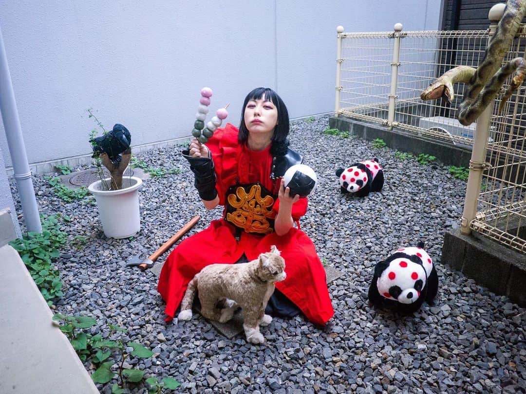 のインスタグラム：「こんにちはこどもの日 ソウルペットと戯れ大人 インドアには目が開かね」