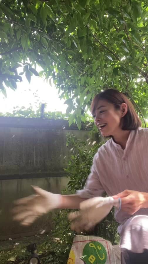 川瀬良子のインスタグラム：「サトイモの仕分け〜！  突然のインスタライブでした🤣」