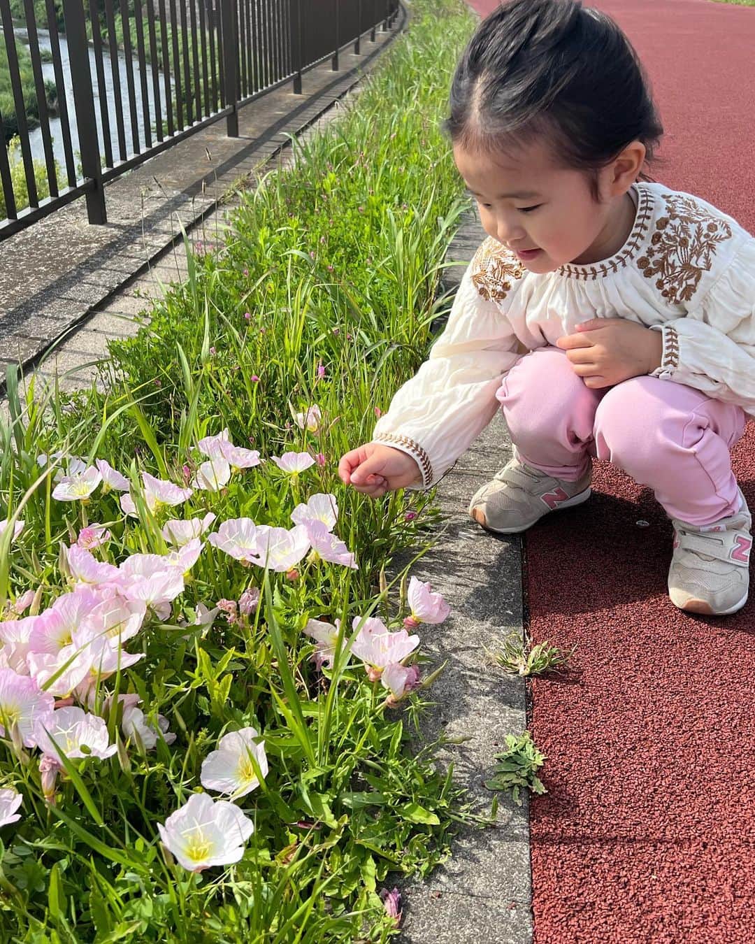 来夏さんのインスタグラム写真 - (来夏Instagram)「#🎏 最近の娘さん👧 園のあとに毎日公園はしご⛲️  体力凄まじい、母のがへとへと〜🫠  健やかに、エンジョイッ🦋  #こどもの日」5月5日 15時13分 - rairairaika
